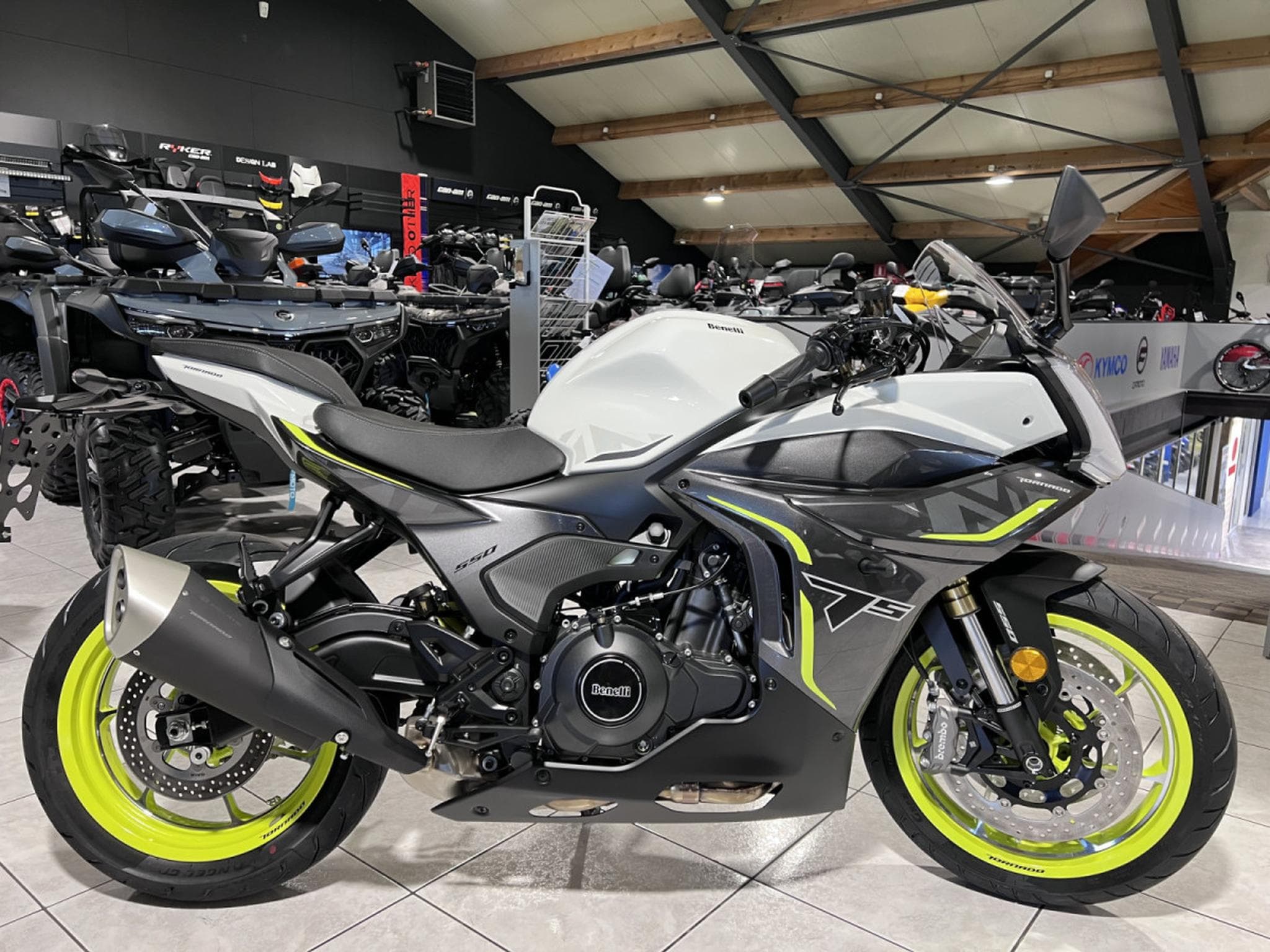Benelli Tornado 550 (2026) - Foto 1