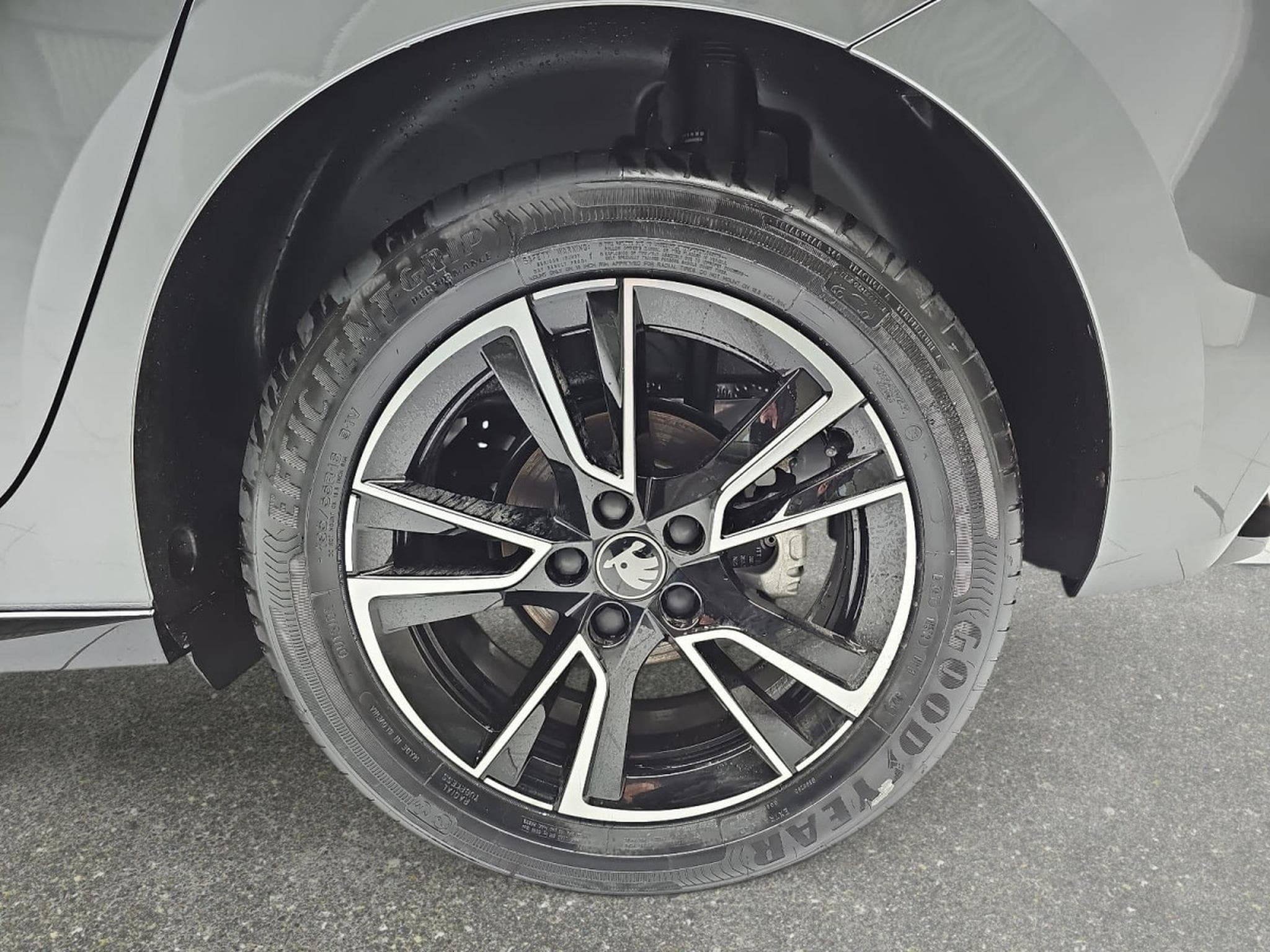 Skoda Fabia 1.0 TSi 116 DSG Monte Carlo (2025) - Foto 6