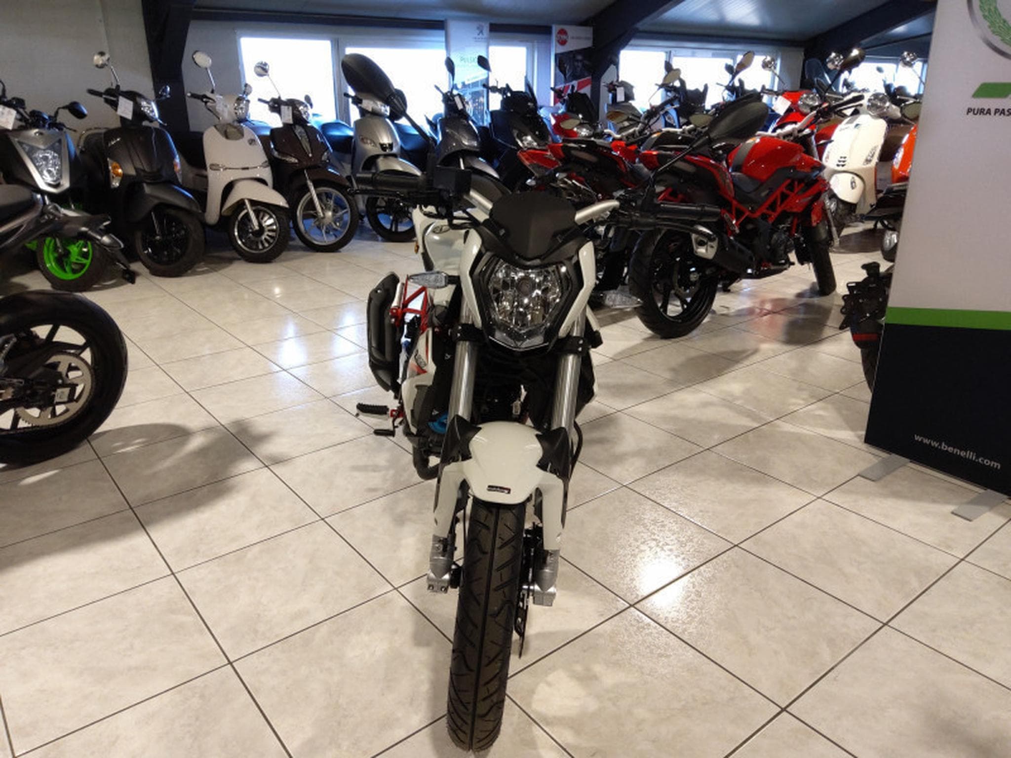 Benelli BN BLANC (2026) - Photo 2