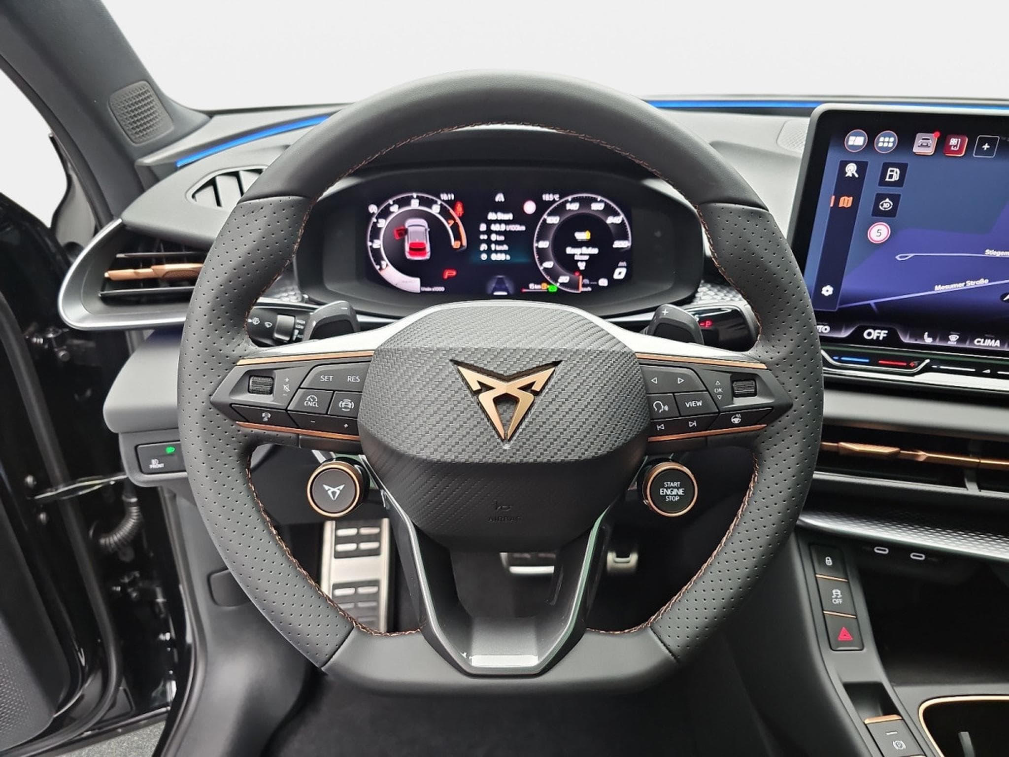 Cupra Terramar 2.0 TSI DSG 265 VZ 4Drive (2025) - Photo 14