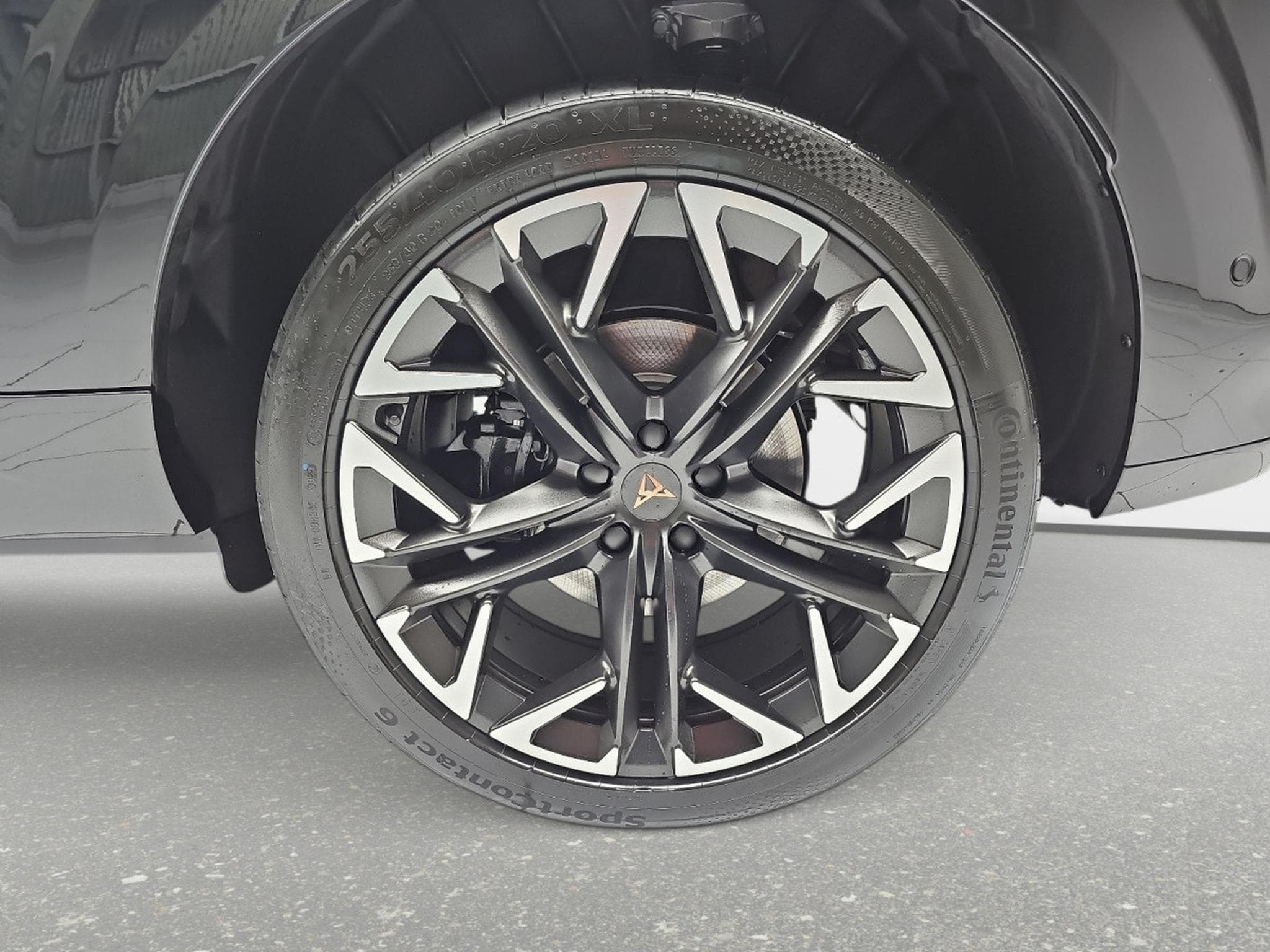 Cupra Terramar 2.0 TSI DSG 265 VZ 4Drive (2025) - Photo 6