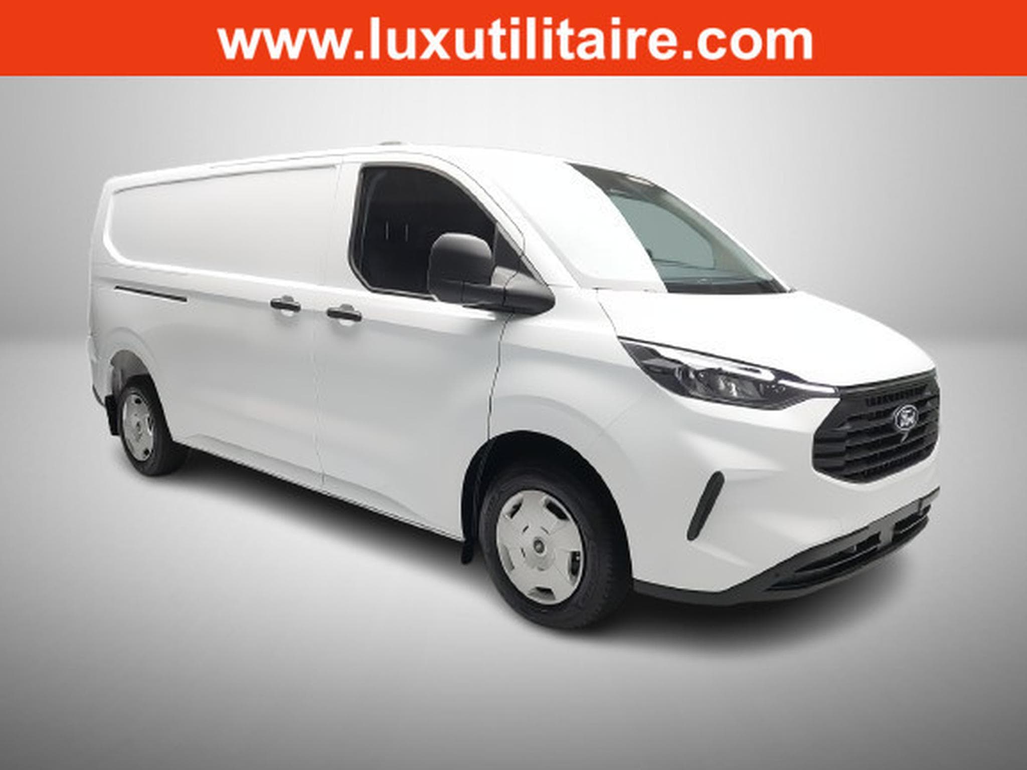 Ford Transit 2.0 ECOBLUE 136 L2H1 Trend (2025) - Foto 1