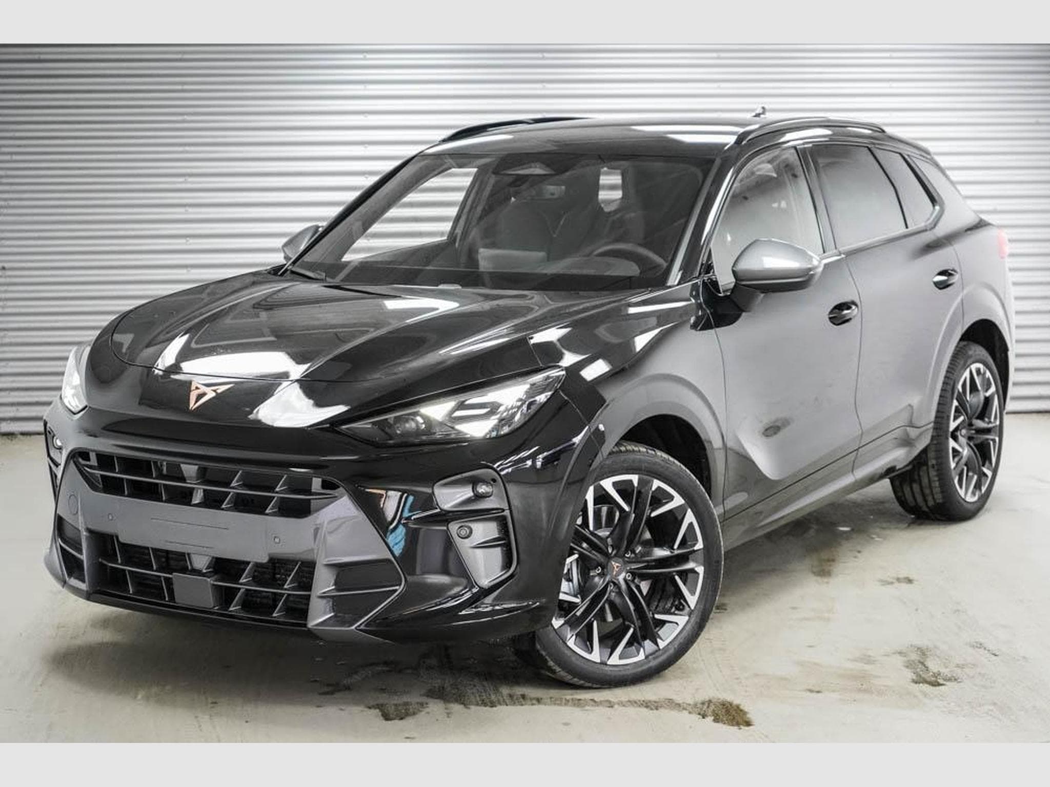 Cupra Terramar 2,0 TSI DSG (2025) - Photo 1