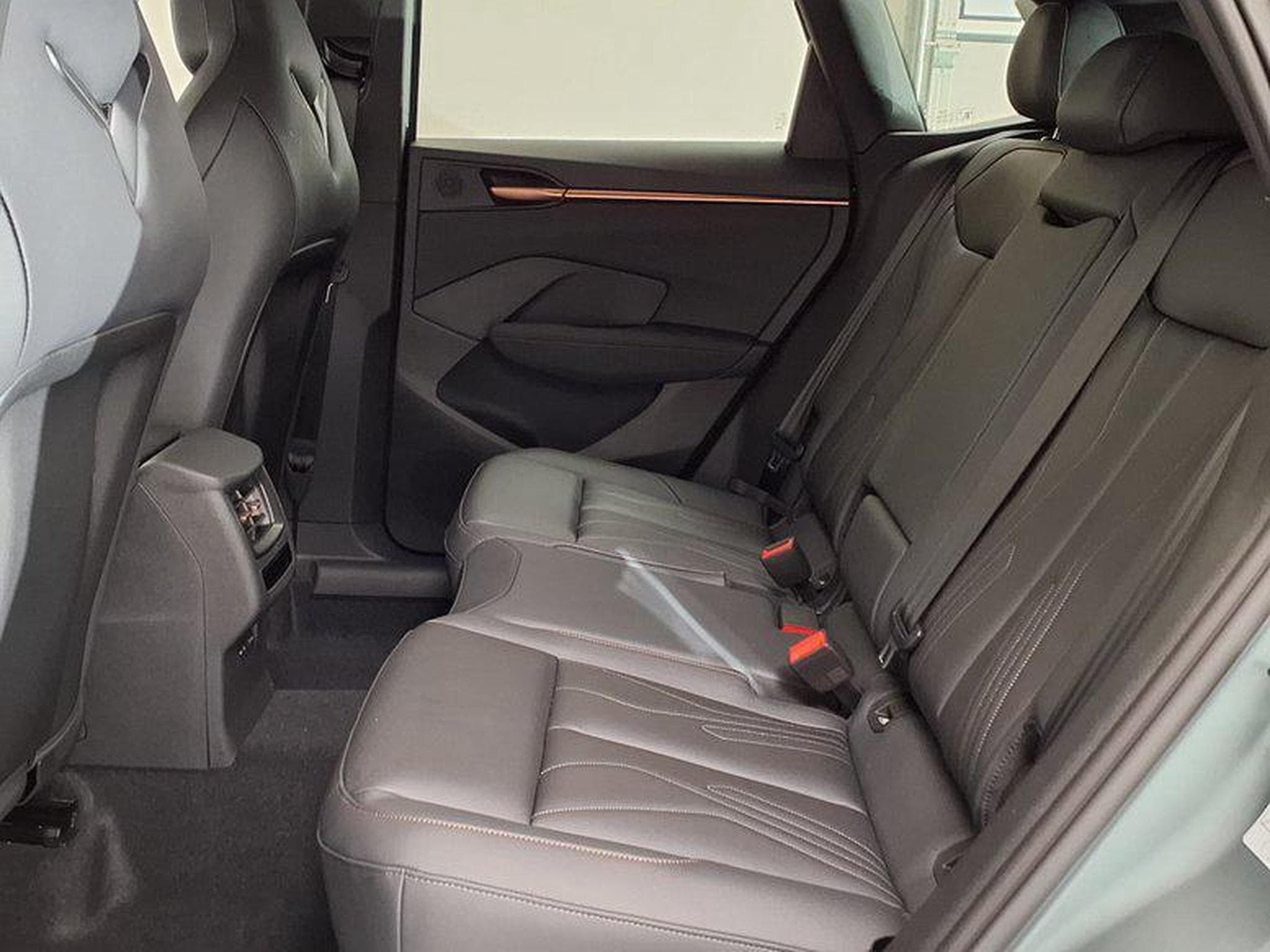 Cupra Terramar America`s CUP Limited Edition 2.0 TSI 195 kW (265 PS) 7-Gang (2025) - Photo 10