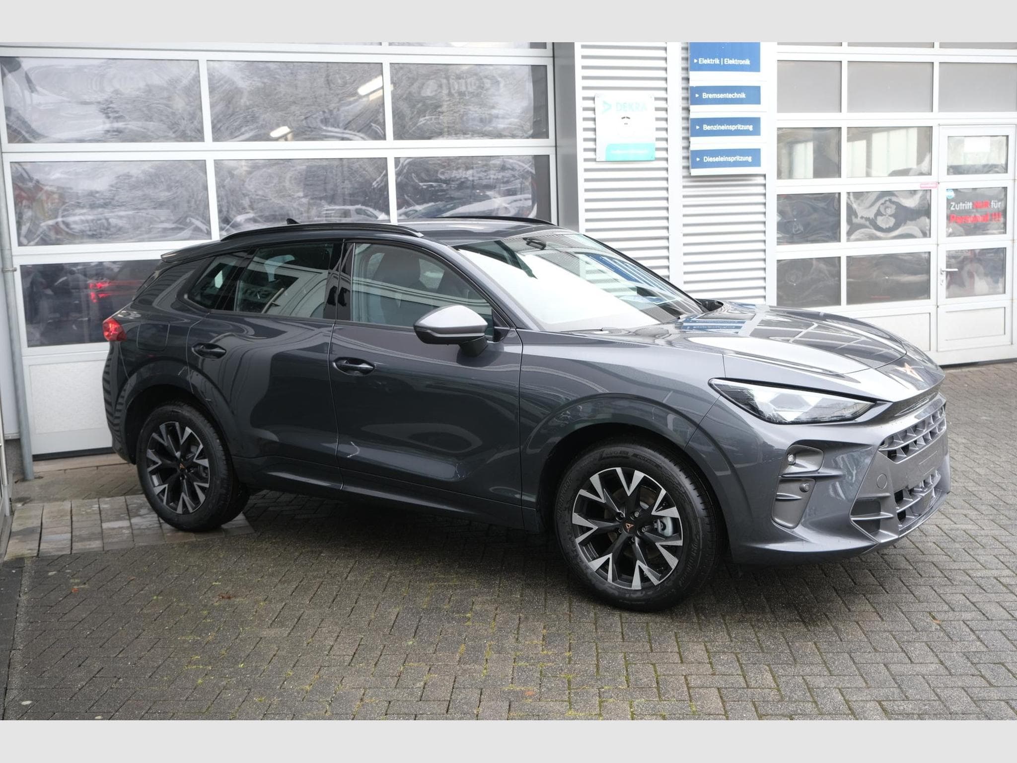 Cupra Terramar 1.5 eTSI DSG (2025) - Photo 17