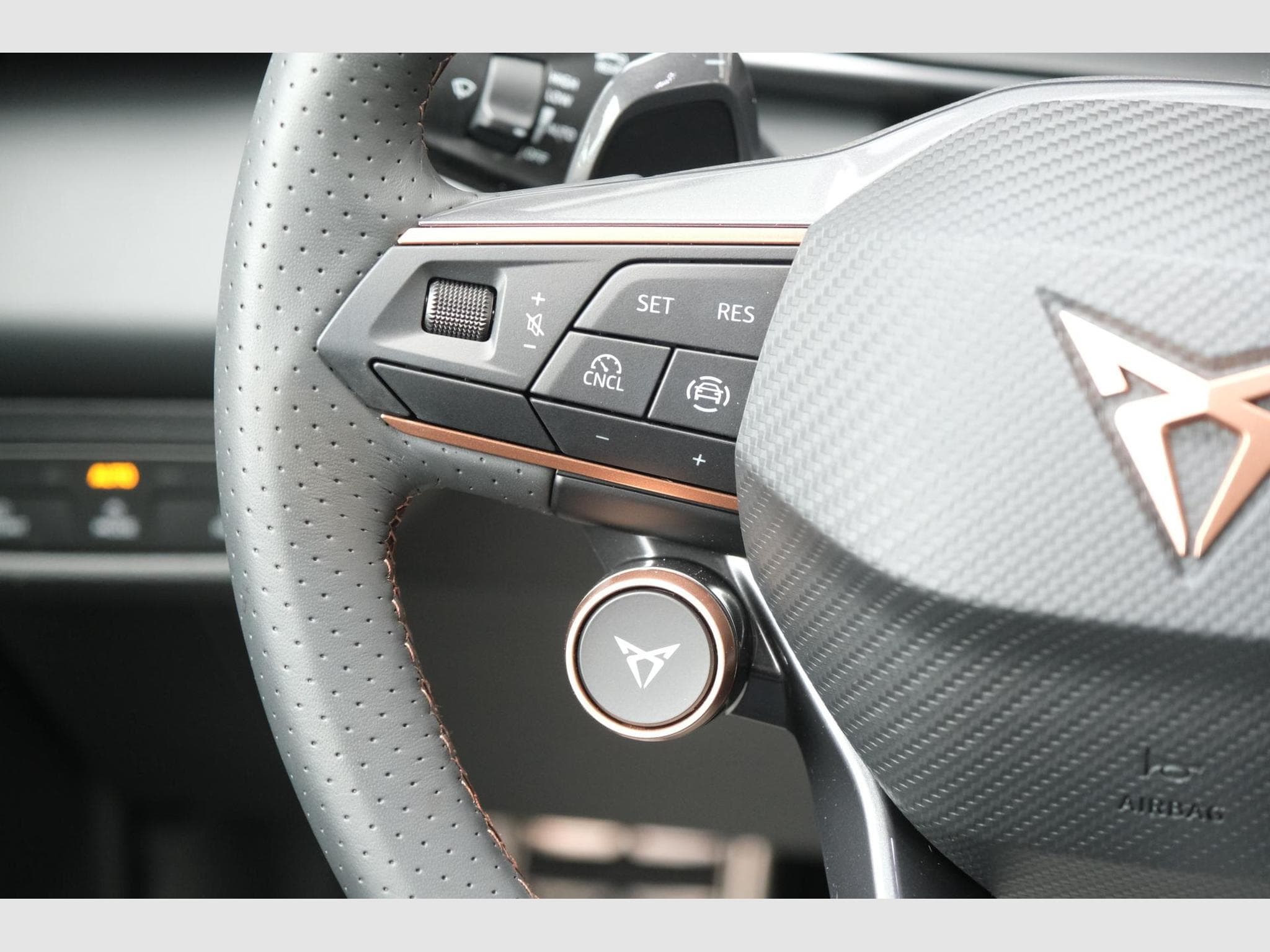 Cupra Terramar 1.5 eTSI DSG (2025) - Photo 23