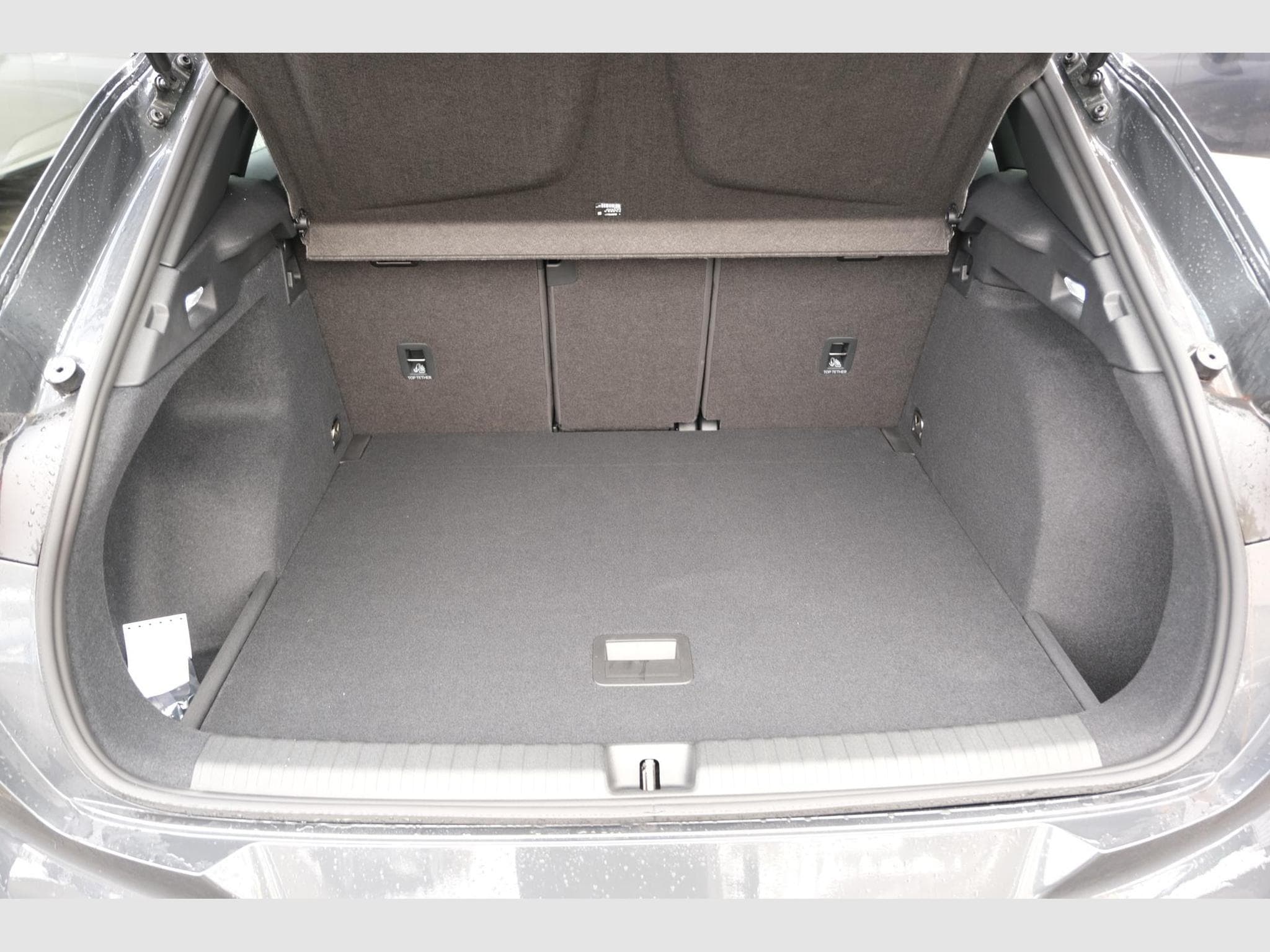 Cupra Terramar 1.5 eTSI DSG (2025) - Photo 8