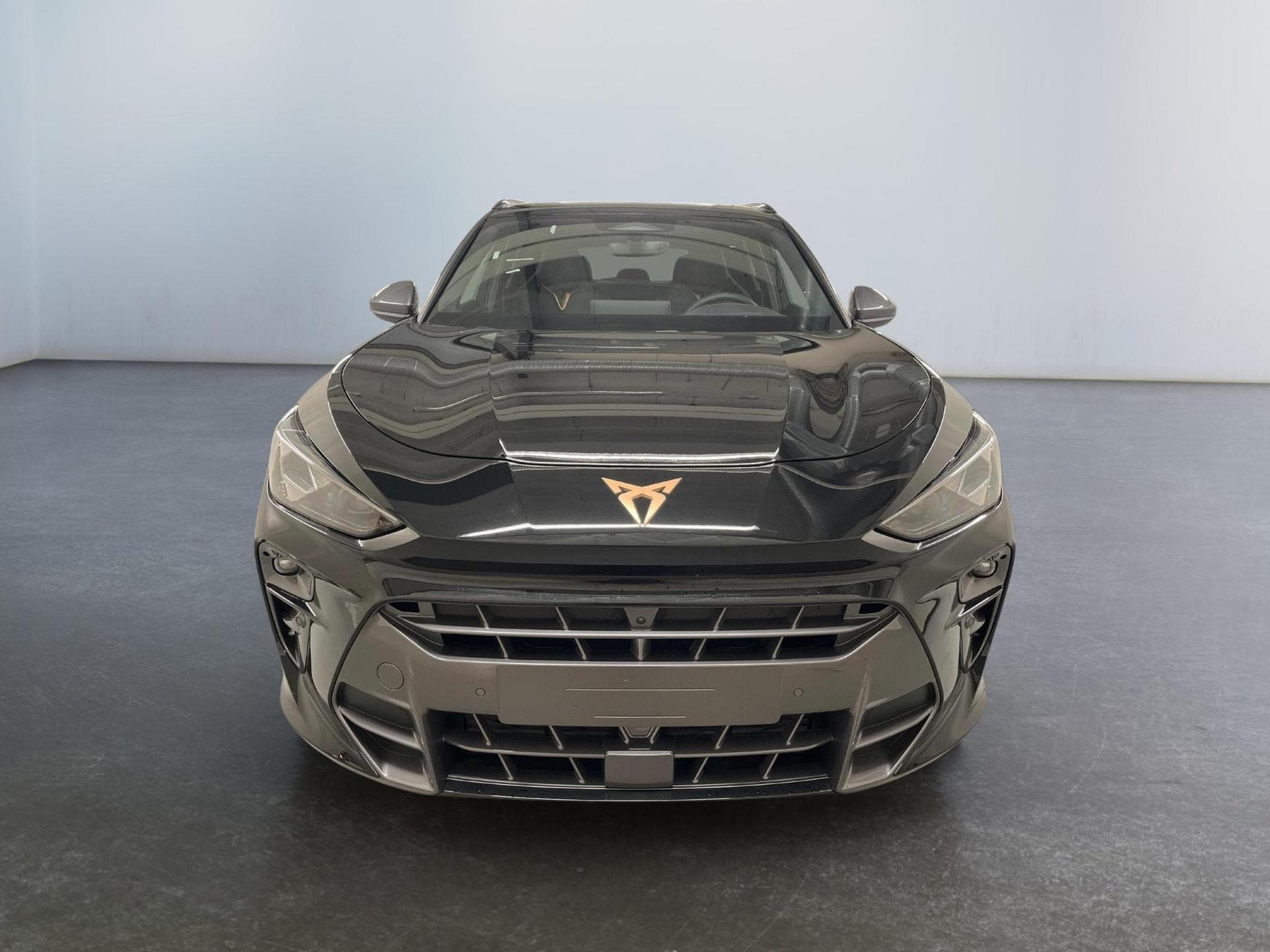 Cupra Terramar VZ (2026) - Photo 2