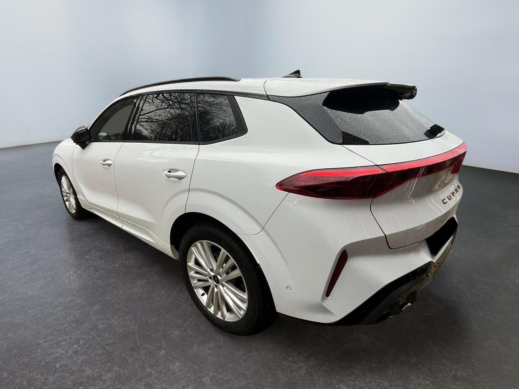 Cupra Terramar VZ (2026) - Photo 2