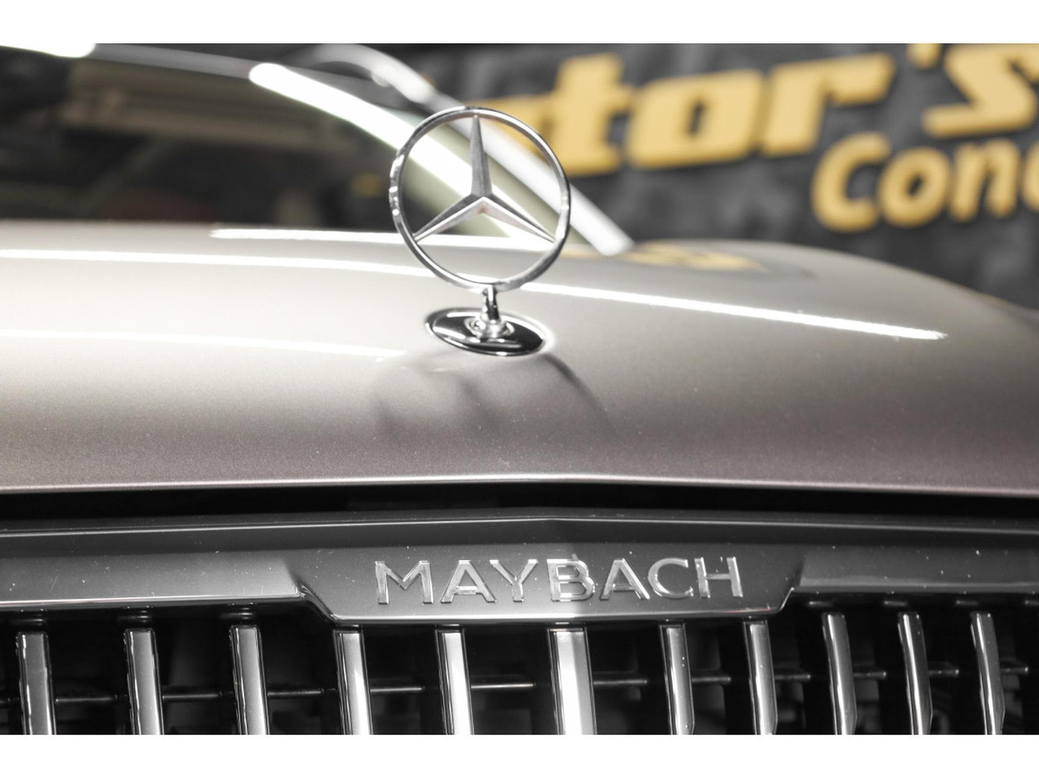 Mercedes GLS 600 MAYBACH 4 MATIC (2022) - Foto 21