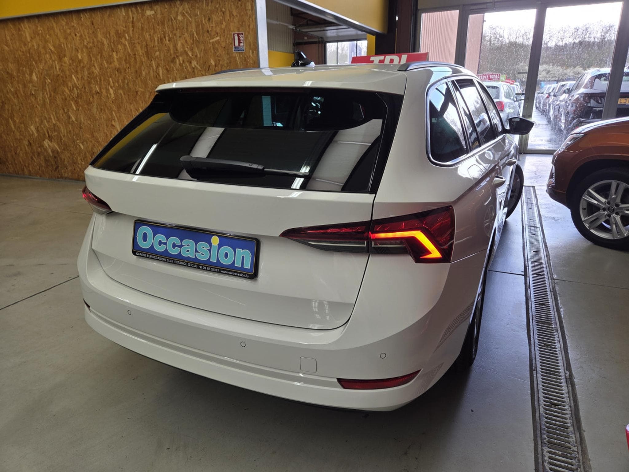 Skoda Octavia TDI 150CV DSG (2020) - Photo 4