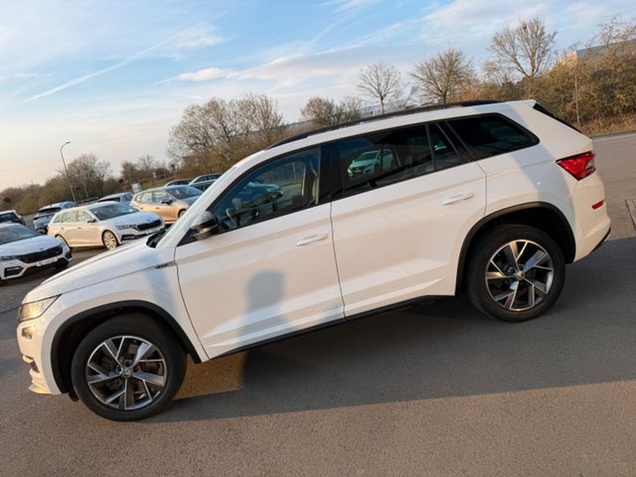 Skoda Kodiaq Kodiaq 2,0TDi Sportline 4x4 Pano 19" AHK DCC ACC (2021) - Foto 8