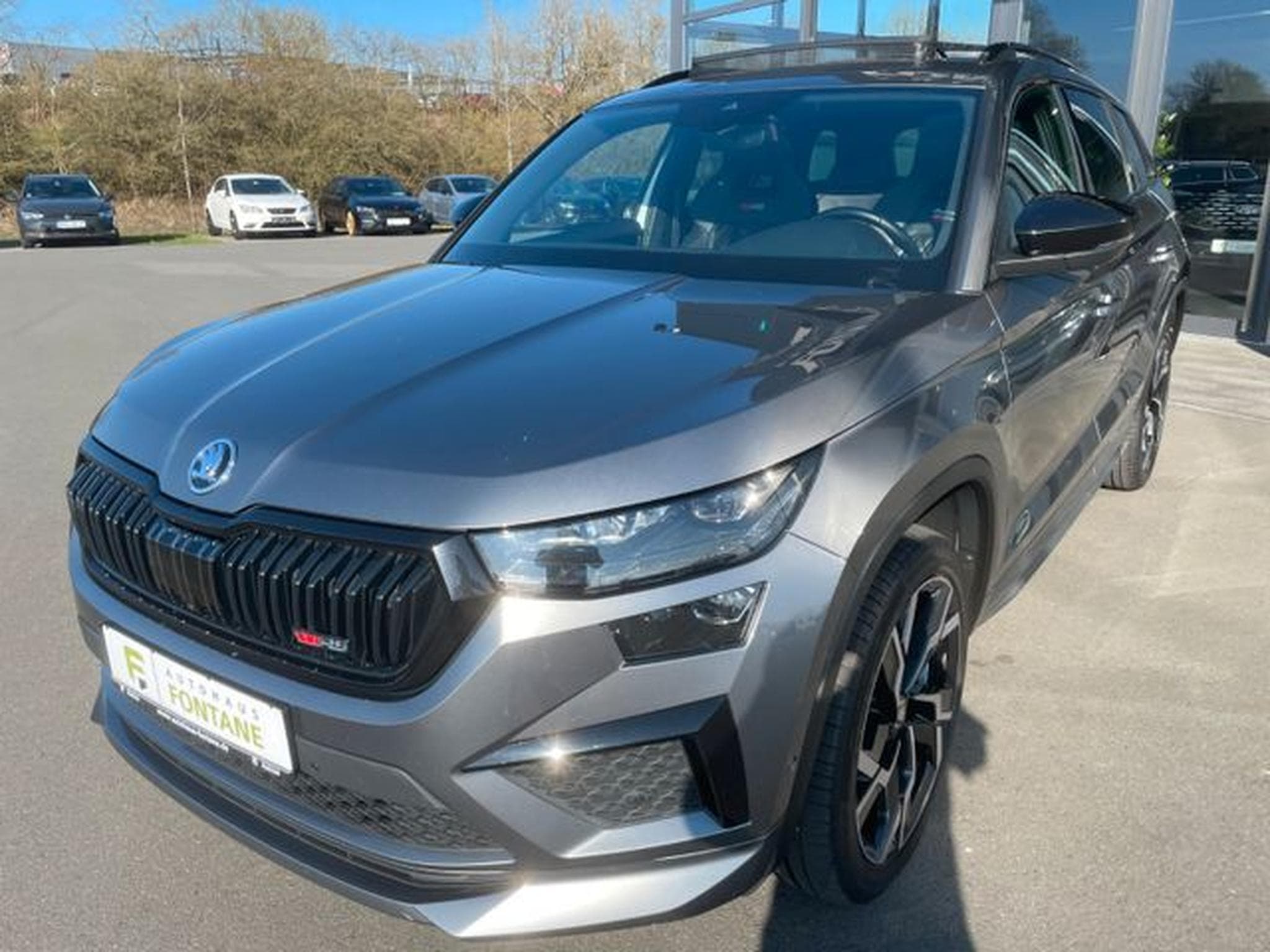 Skoda Kodiaq Kodiaq RS 4x4 Vollleder AHK Standhz Pano 360°DCC (2022) - Foto 2