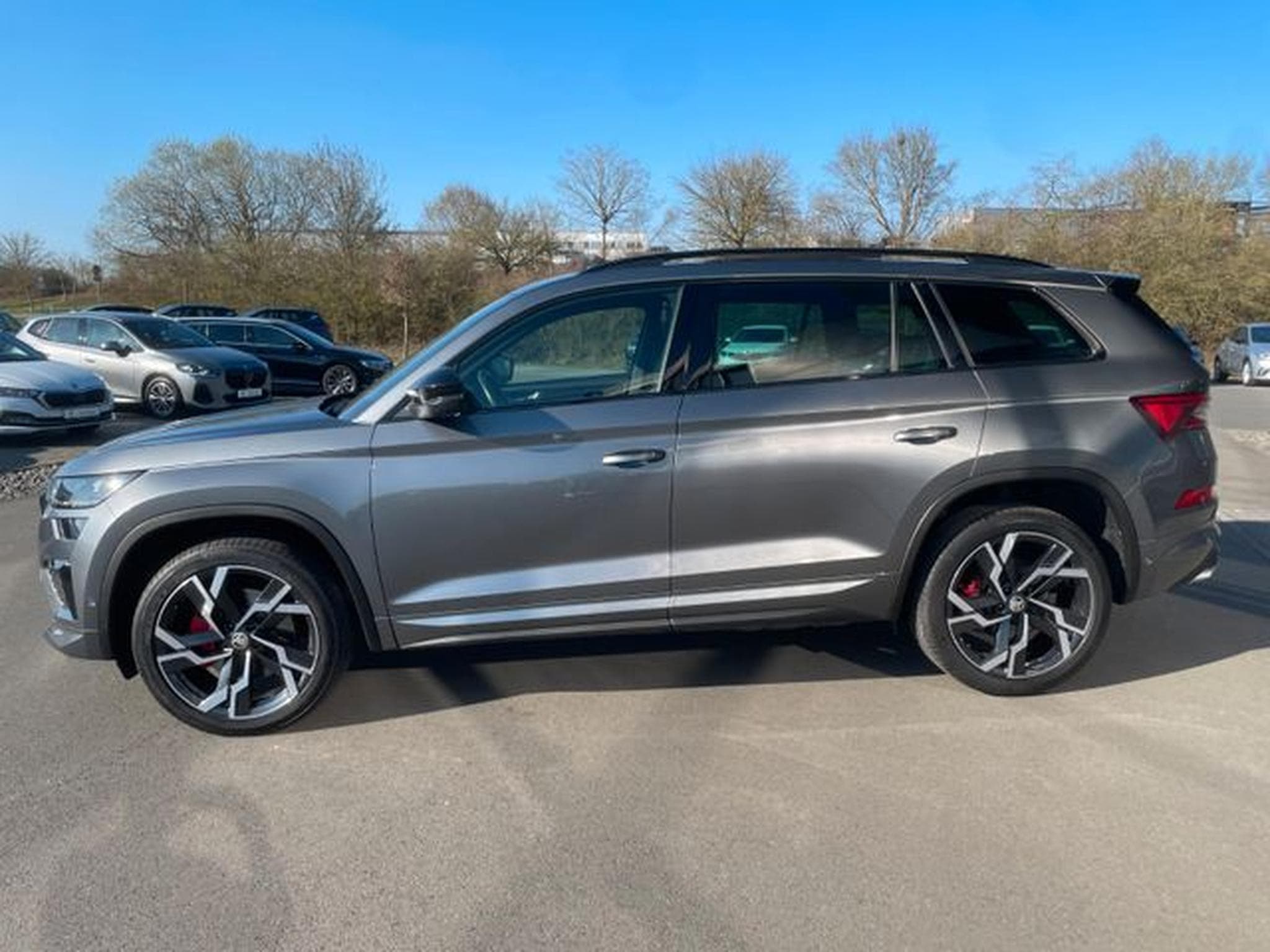Skoda Kodiaq Kodiaq RS 4x4 Vollleder AHK Standhz Pano 360°DCC (2022) - Foto 9