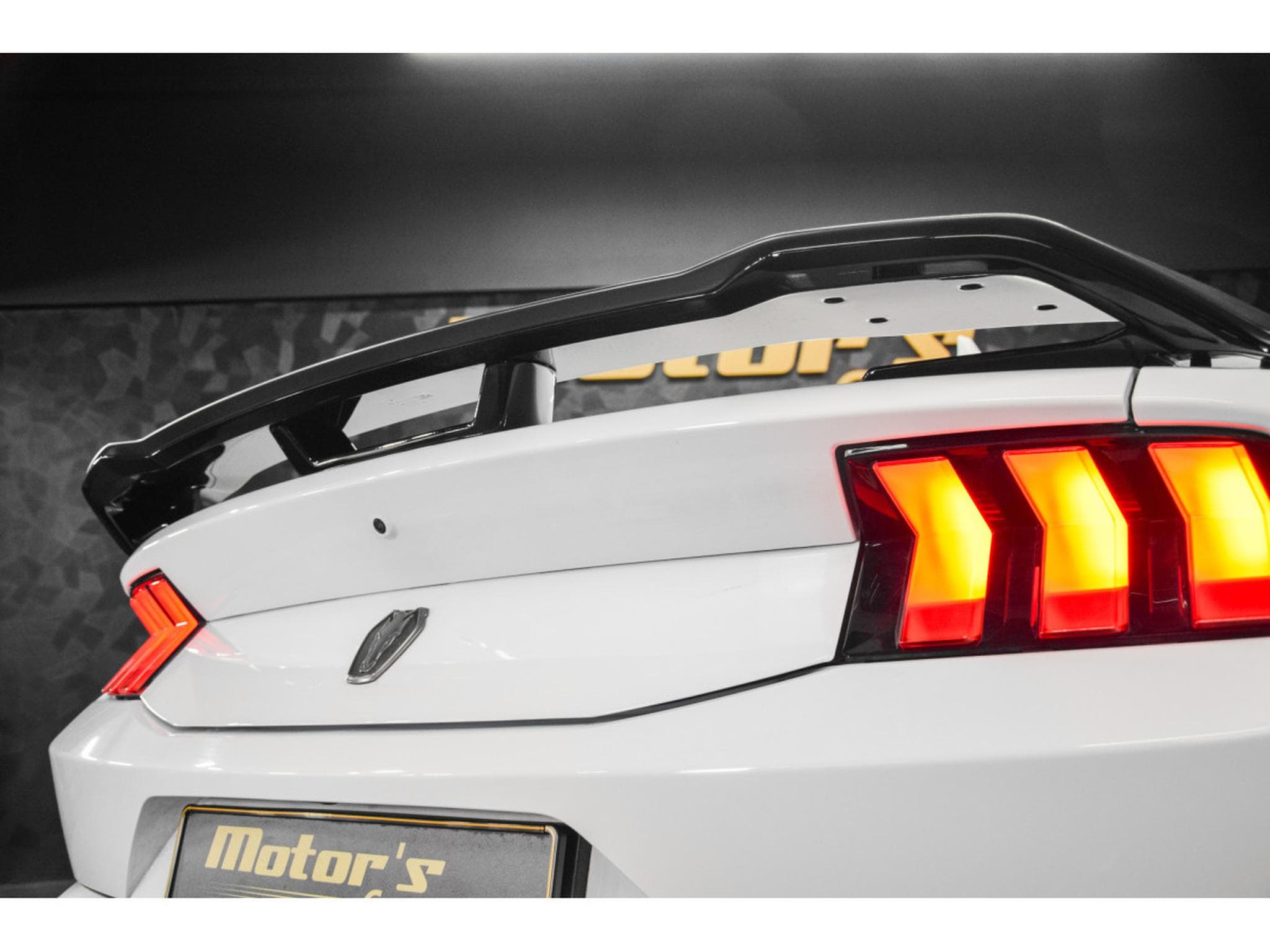 Ford Mustang Coupé 5.0 V8 - DARK HORSE (2024) - Photo 24