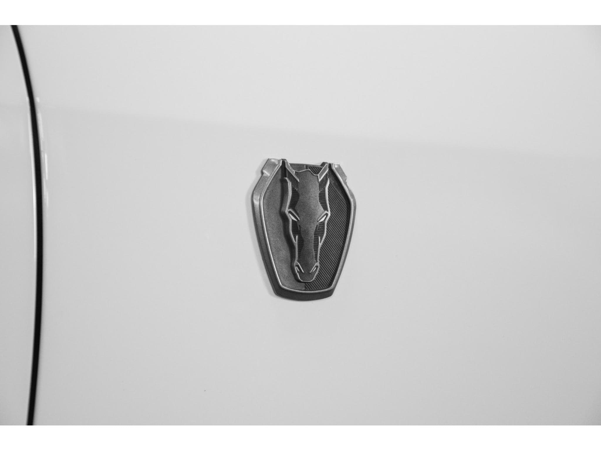 Ford Mustang Coupé 5.0 V8 - DARK HORSE (2024) - Photo 28