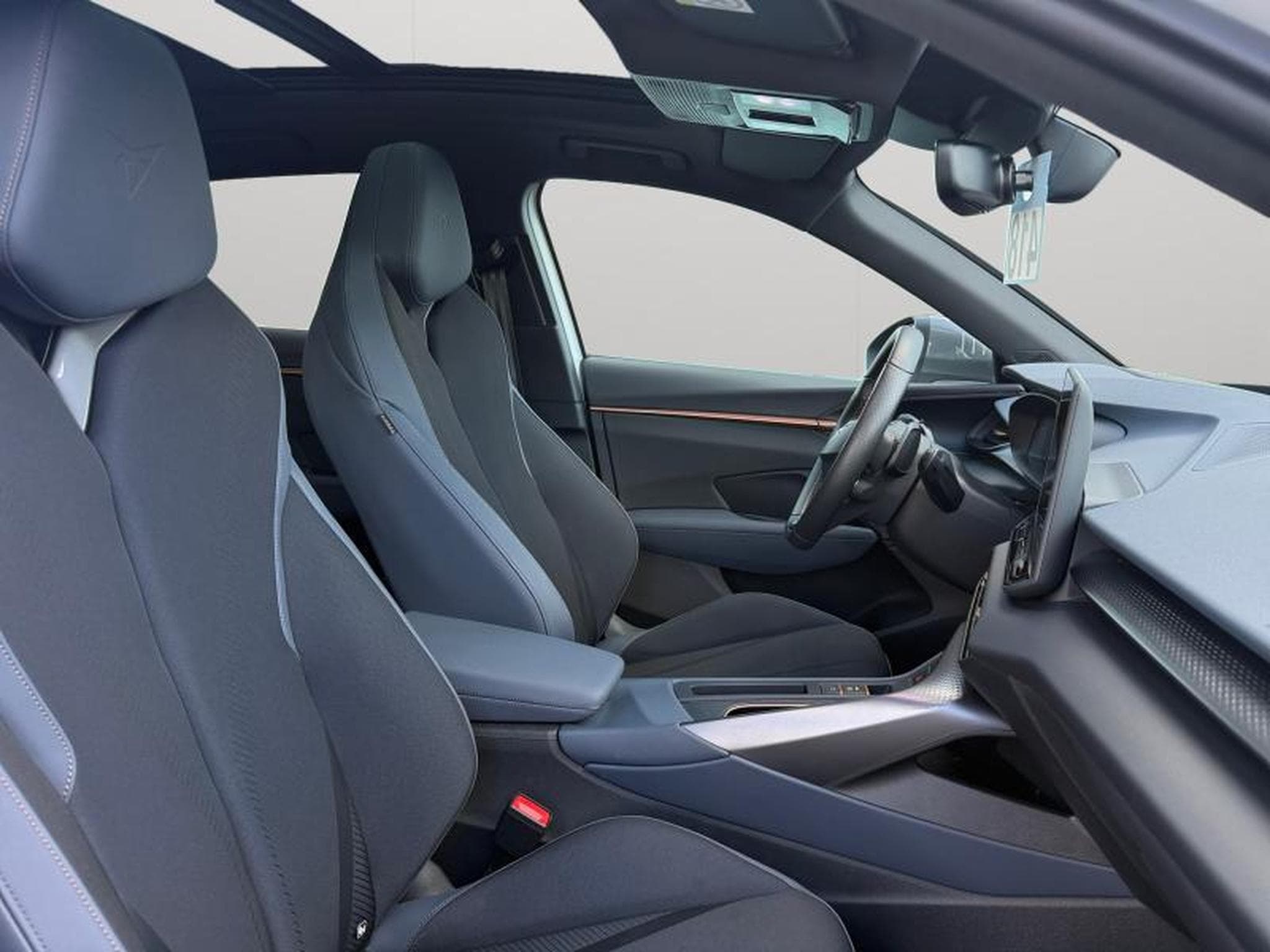 Cupra Terramar VZ 2.0 TSI 4x4 265 CV/ Essence (2025) - Photo 10