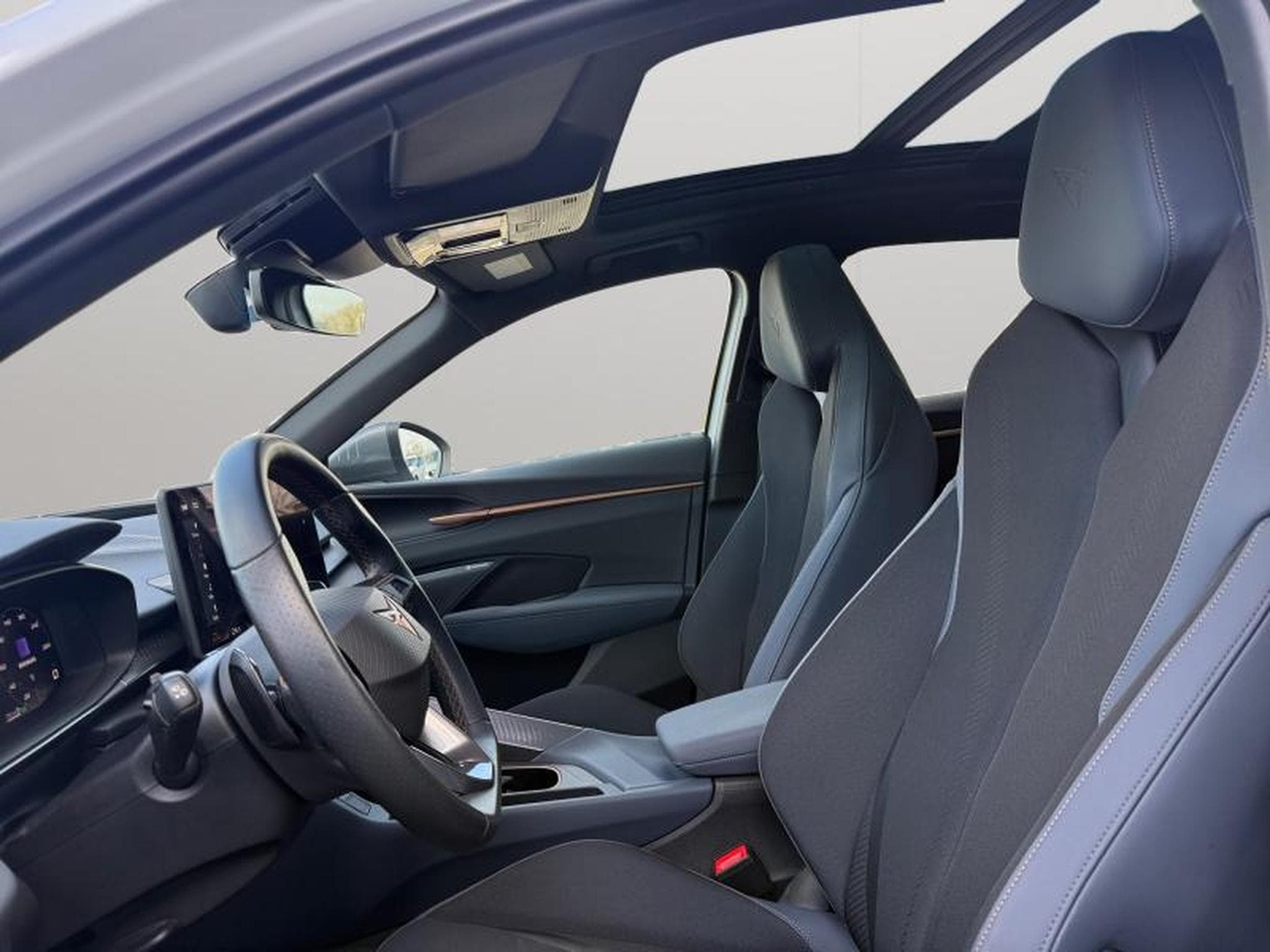 Cupra Terramar VZ 2.0 TSI 4x4 265 CV/ Essence (2025) - Photo 12