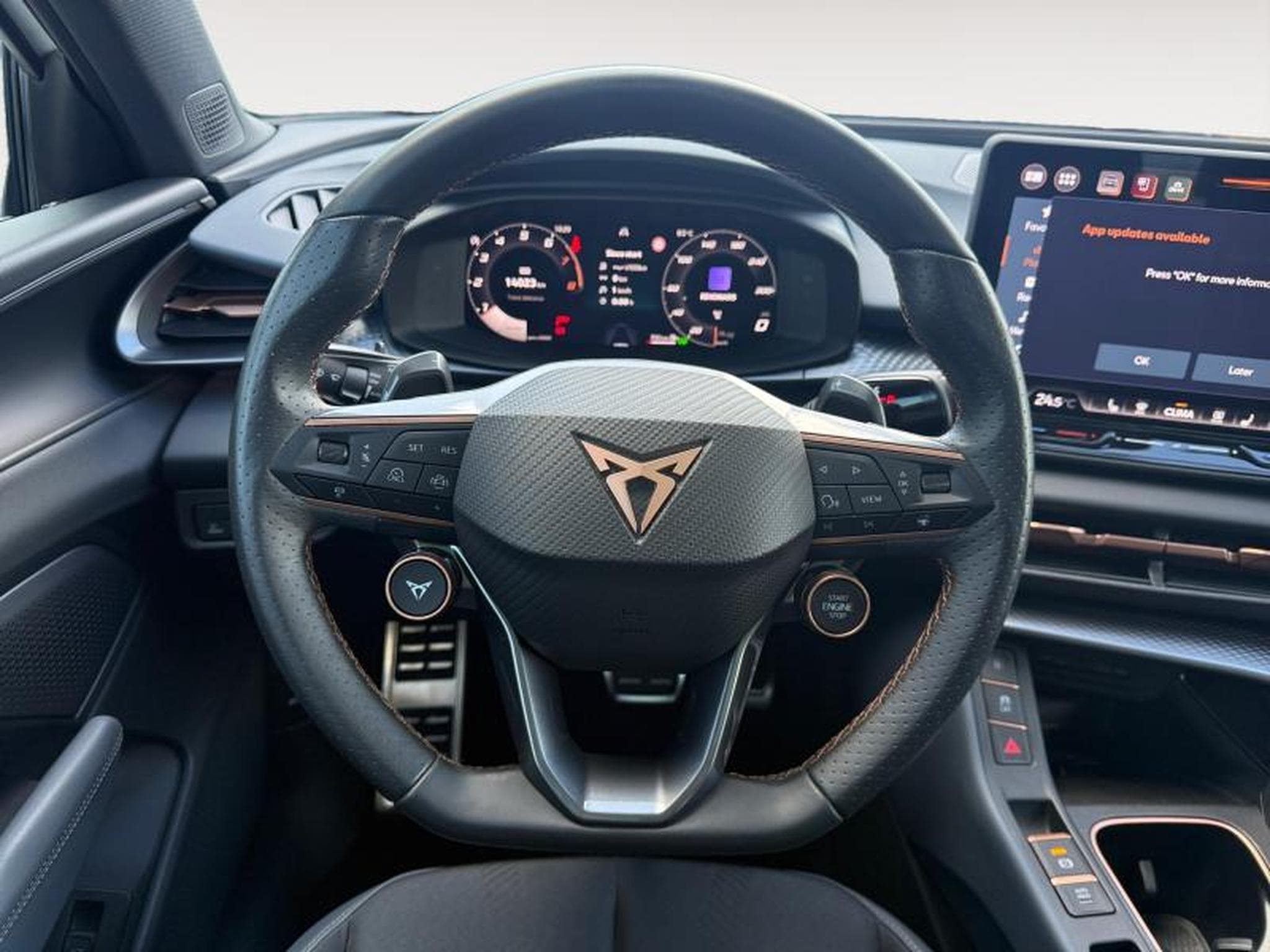 Cupra Terramar VZ 2.0 TSI 4x4 265 CV/ Essence (2025) - Photo 14