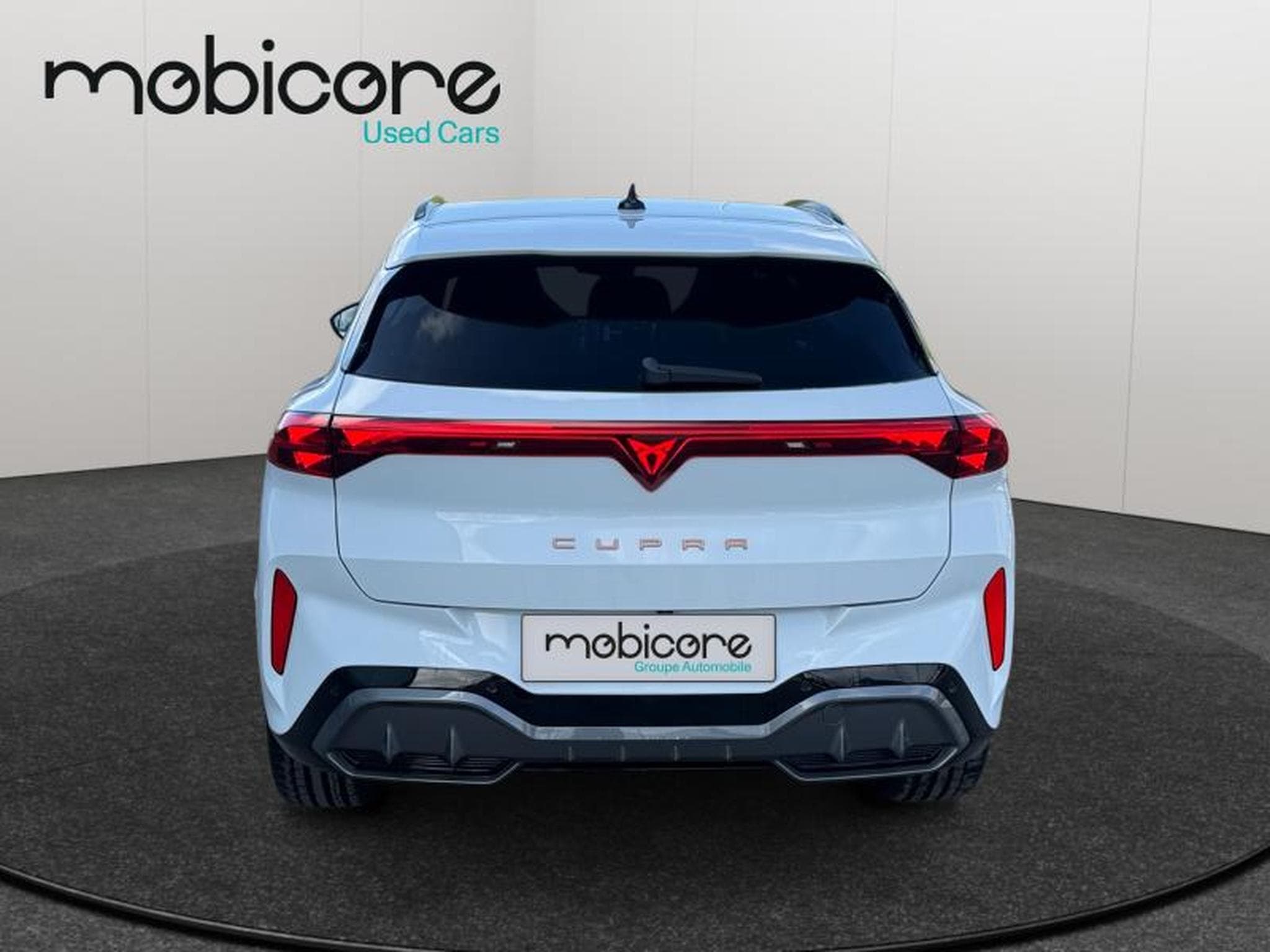 Cupra Terramar VZ 2.0 TSI 4x4 265 CV/ Essence (2025) - Photo 6