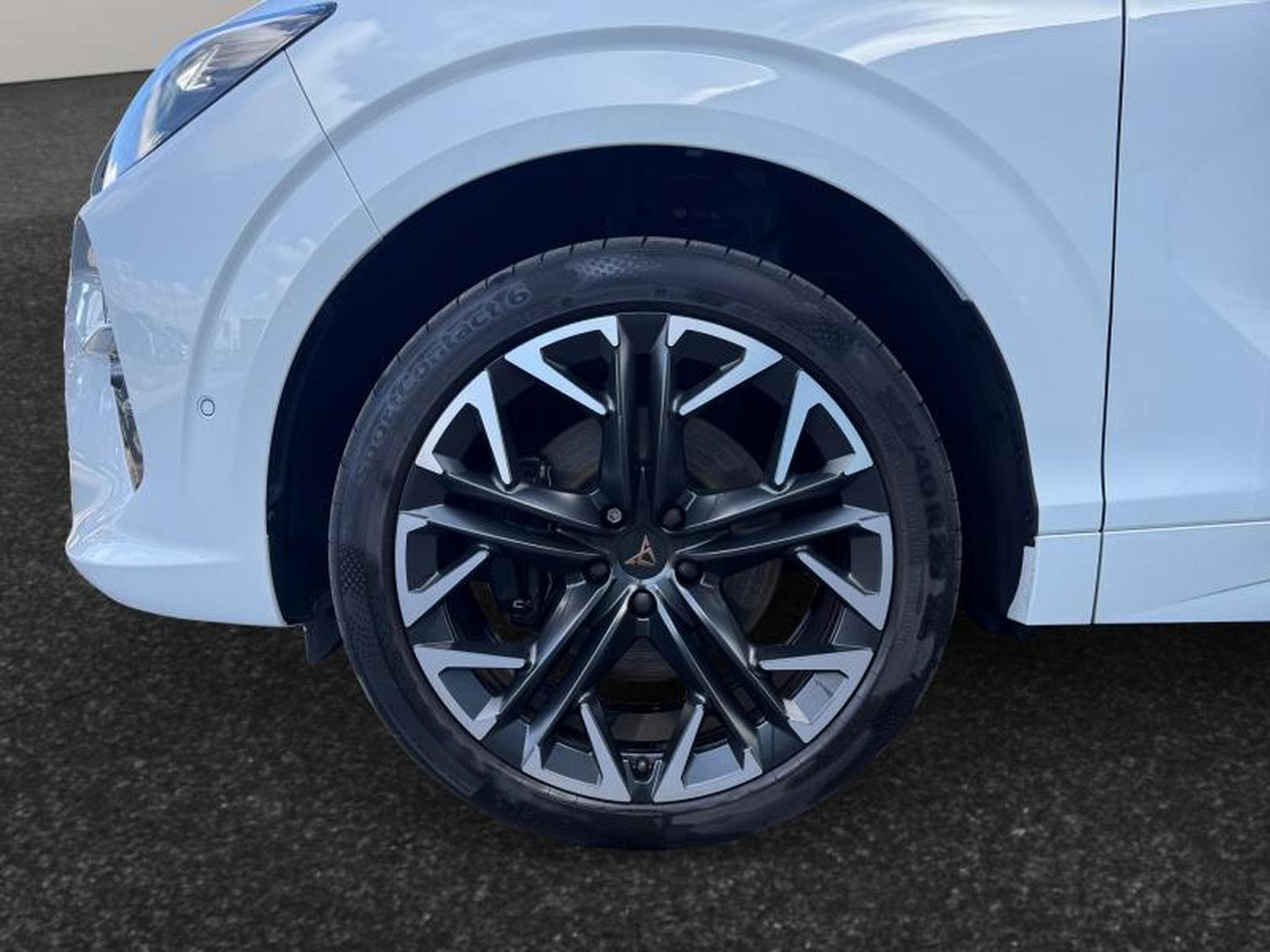 Cupra Terramar VZ 2.0 TSI 4x4 265 CV/ Essence (2025) - Photo 9