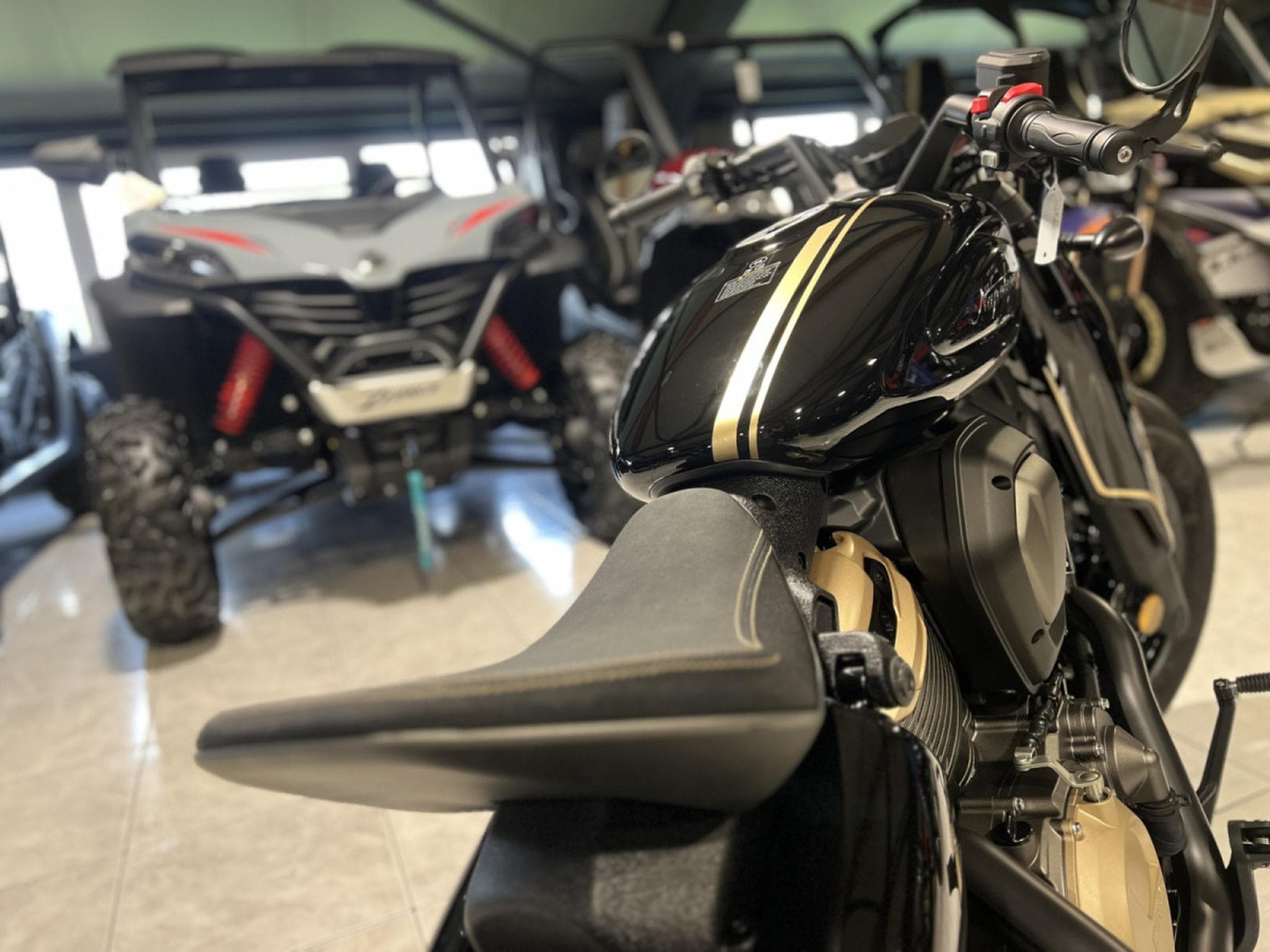 Benda Napoleon 500 (2026) - Photo 5