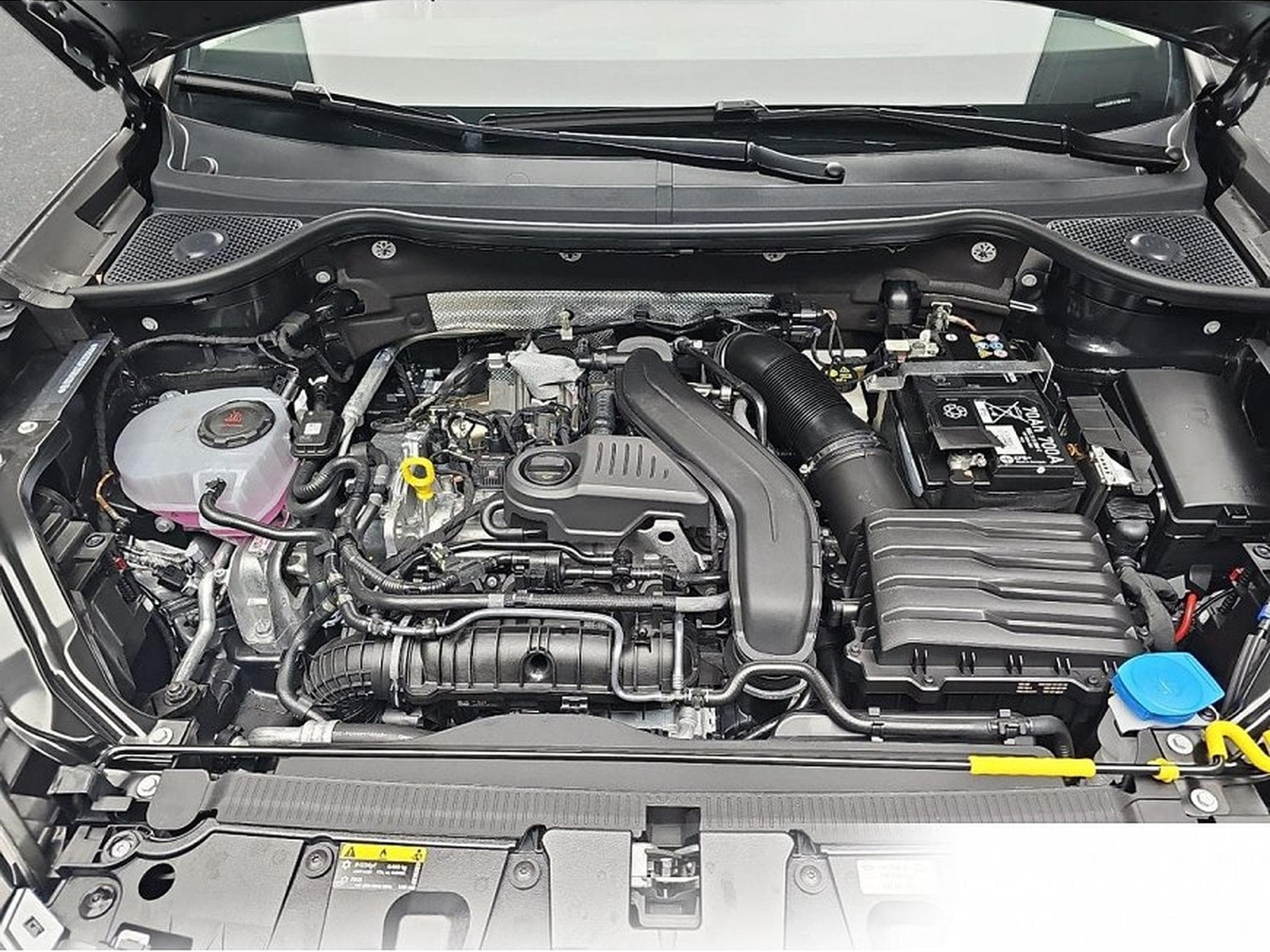 Cupra Ateca (2026) - Foto 14