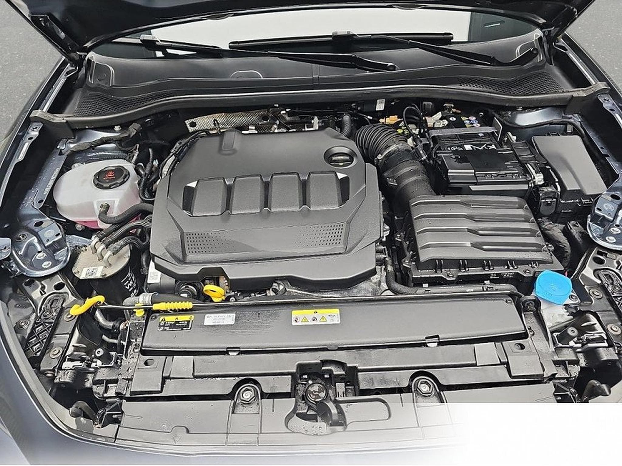 Seat Leon (2026) - Photo 14