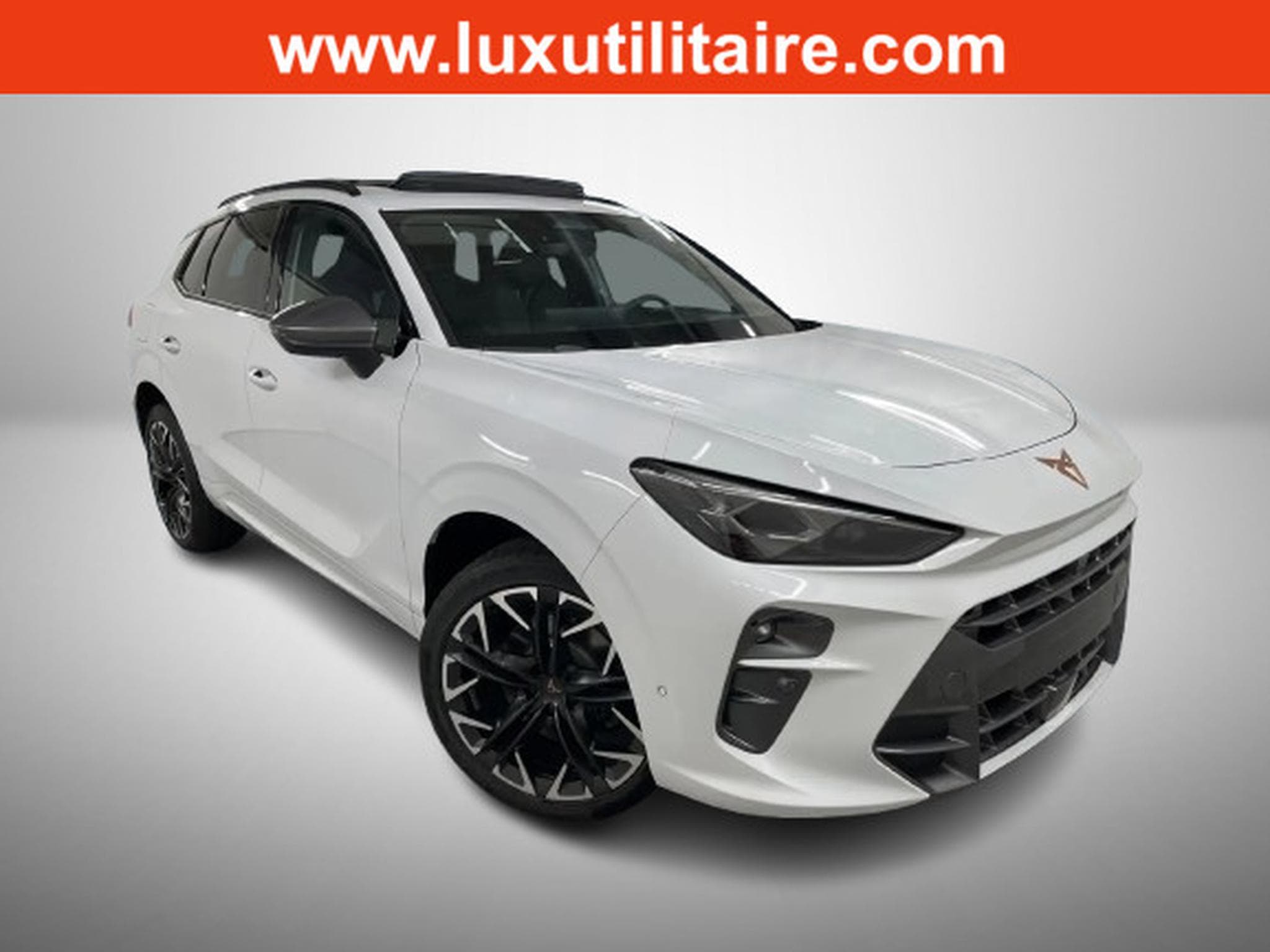 Cupra Terramar 2.0 TSI DSG 265 VZ 4Drive (2025) - Photo 1