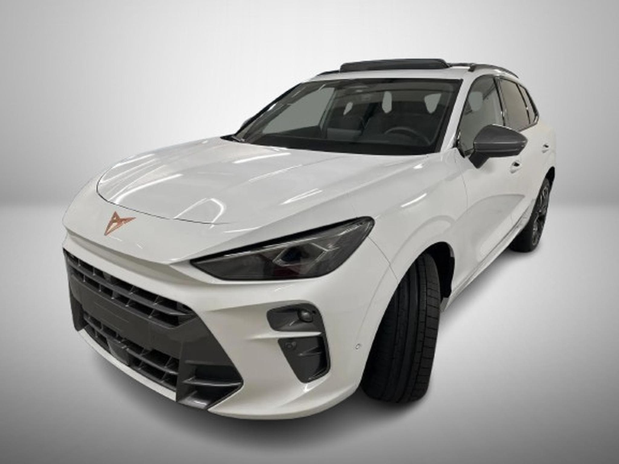 Cupra Terramar 2.0 TSI DSG 265 VZ 4Drive (2025) - Photo 2