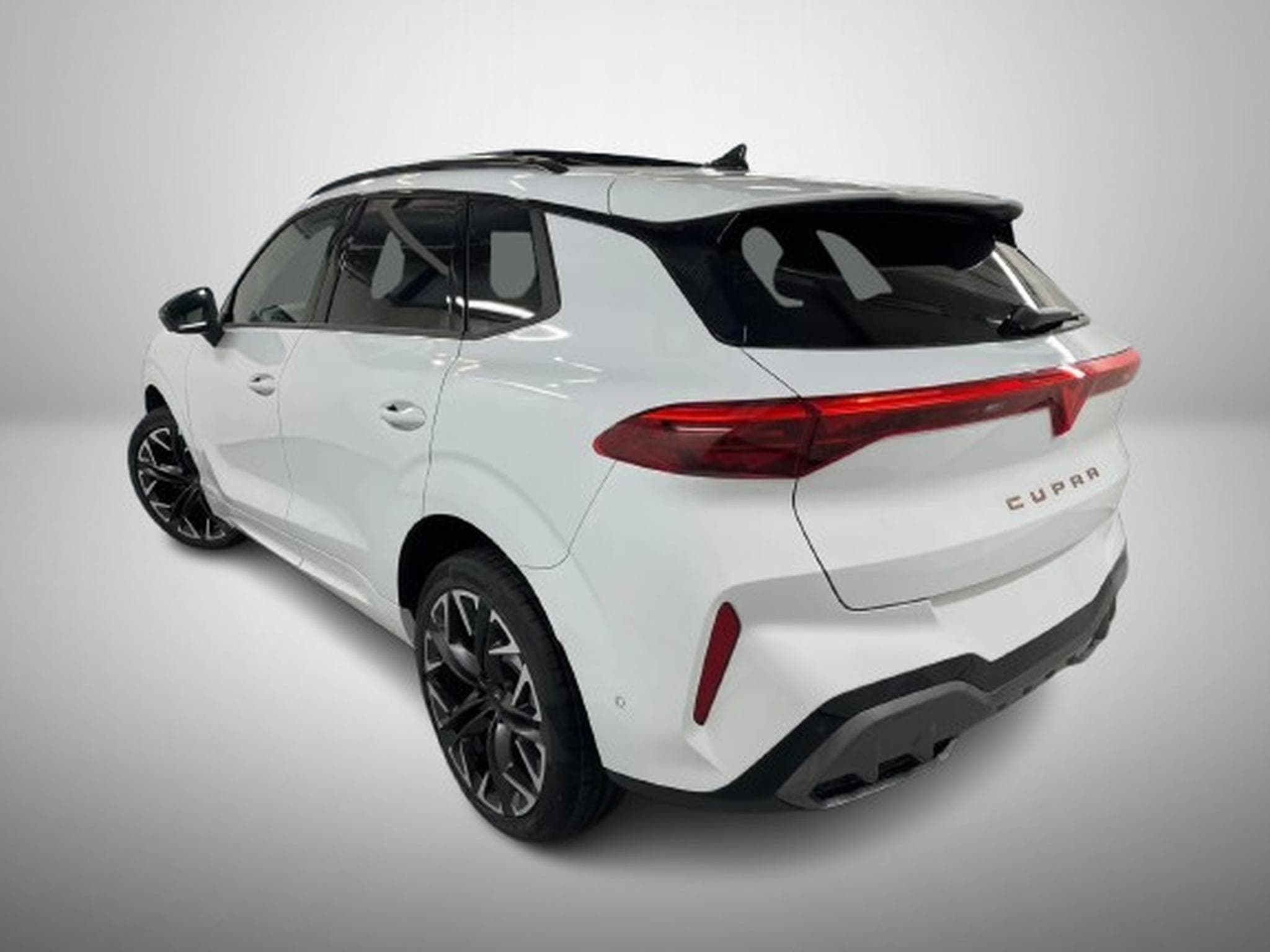 Cupra Terramar 2.0 TSI DSG 265 VZ 4Drive (2025) - Photo 5