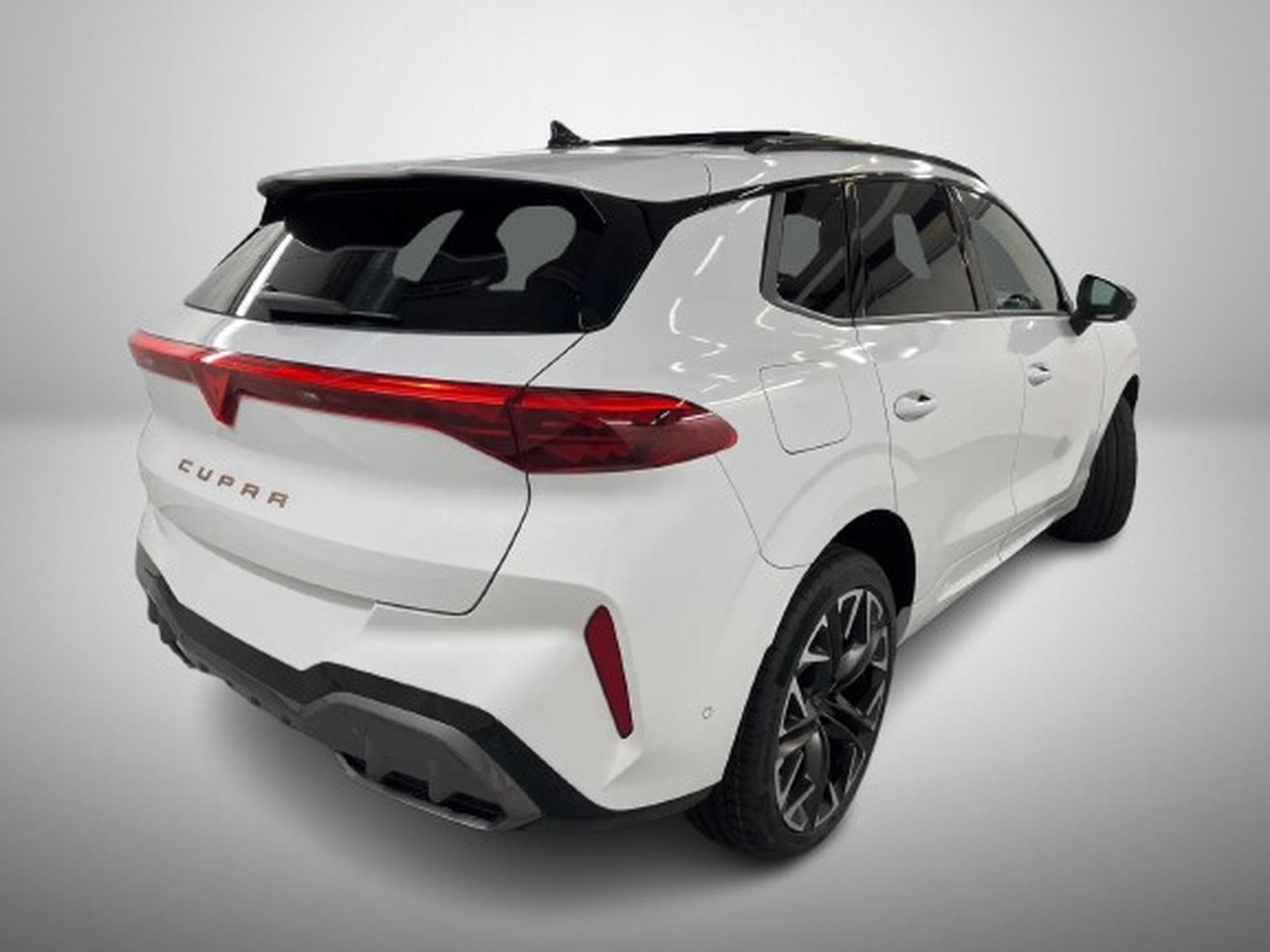 Cupra Terramar 2.0 TSI DSG 265 VZ 4Drive (2025) - Photo 7