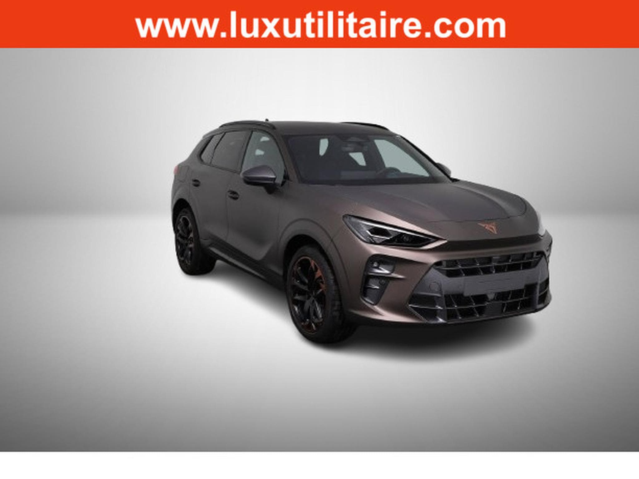 Cupra Terramar 2.0 TSI DSG 265 VZ 4Drive (2025) - Photo 1