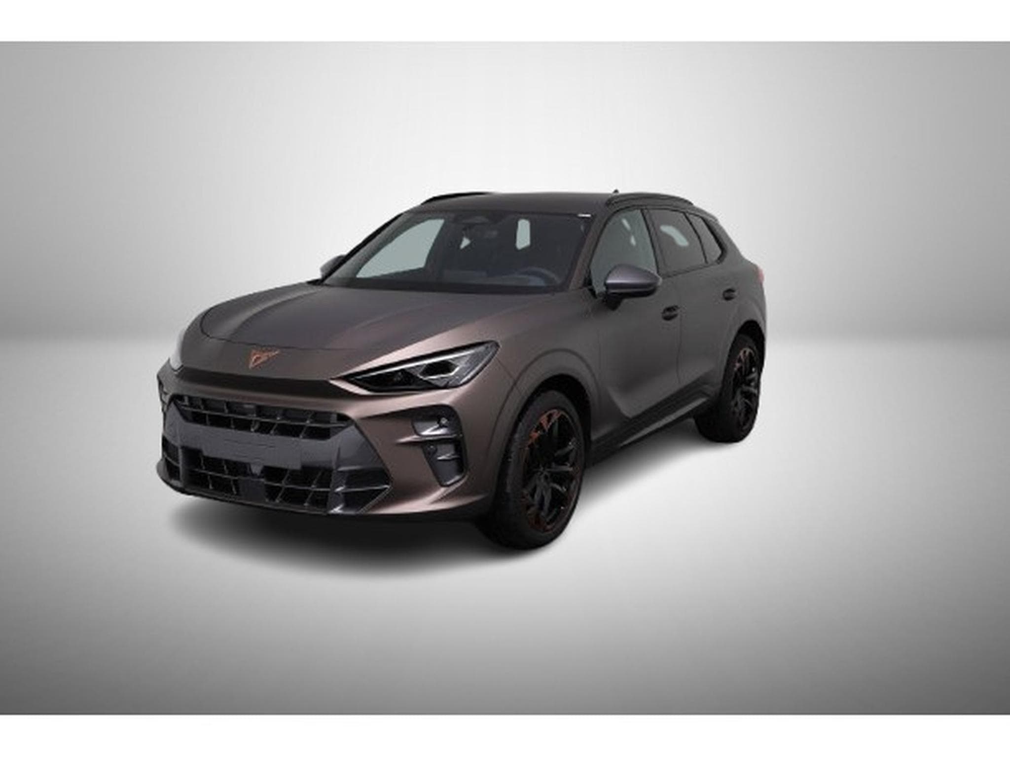 Cupra Terramar 2.0 TSI DSG 265 VZ 4Drive (2025) - Photo 2