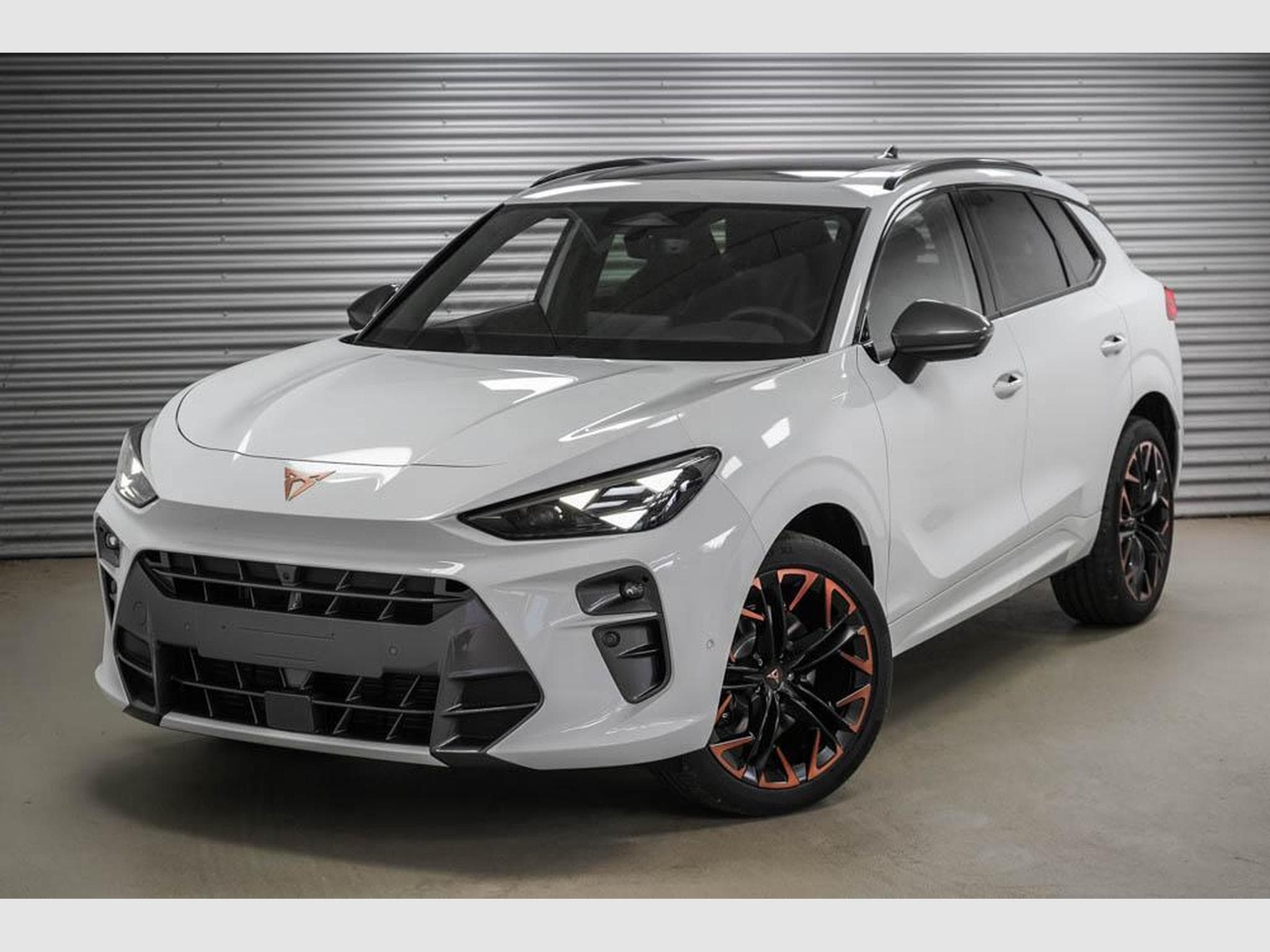 Cupra Terramar 2,0 TSI DSG (2025) - Photo 1