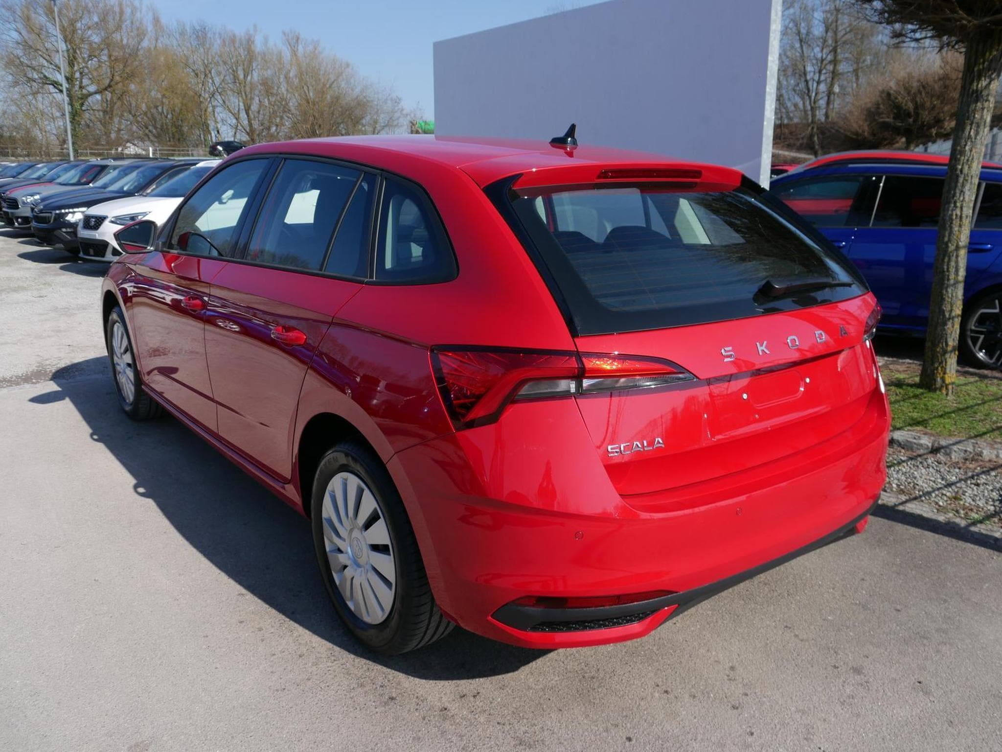 Skoda Scala Selection (2026) - Photo 6