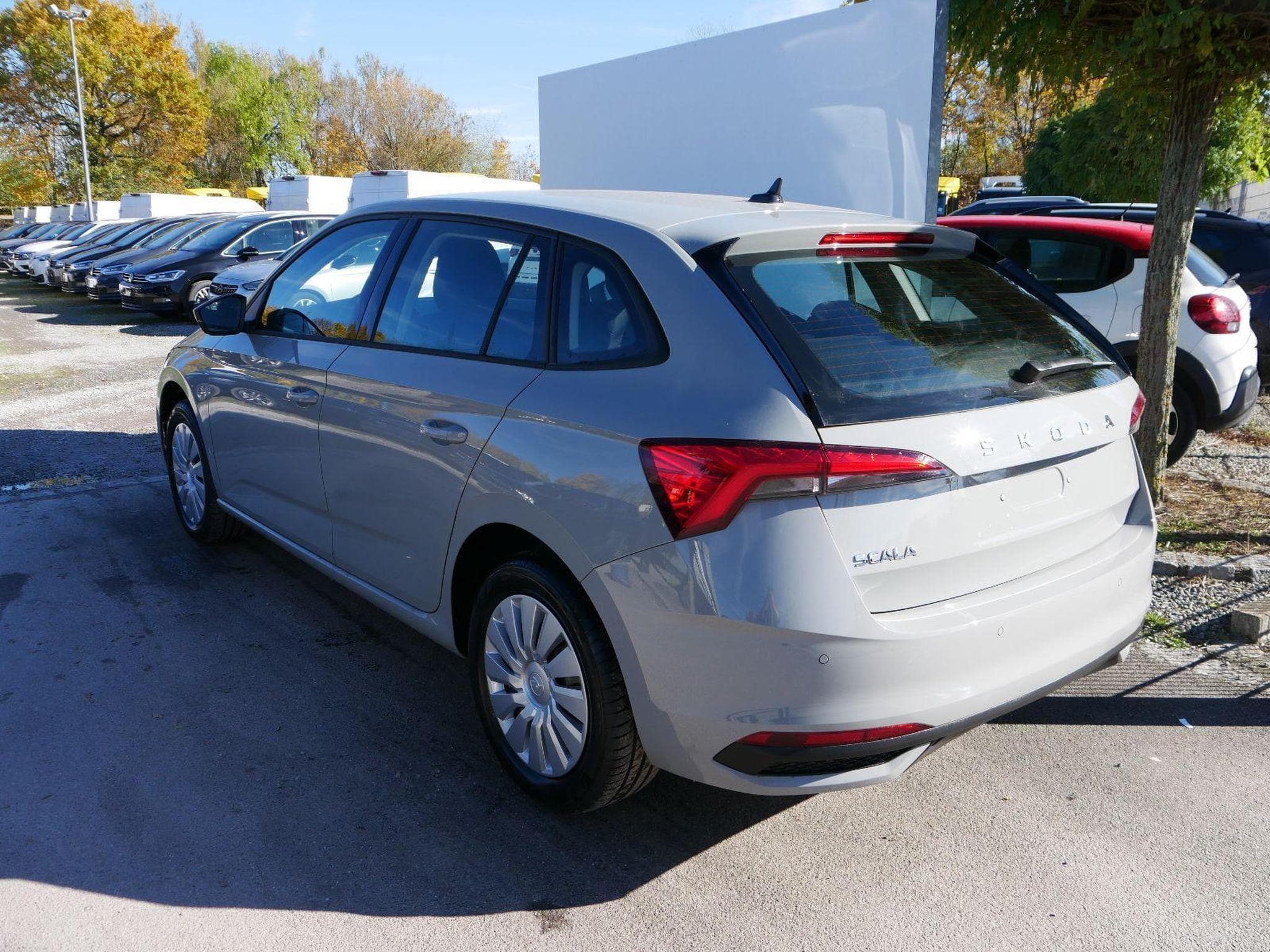 Skoda Scala Selection (2026) - Photo 6