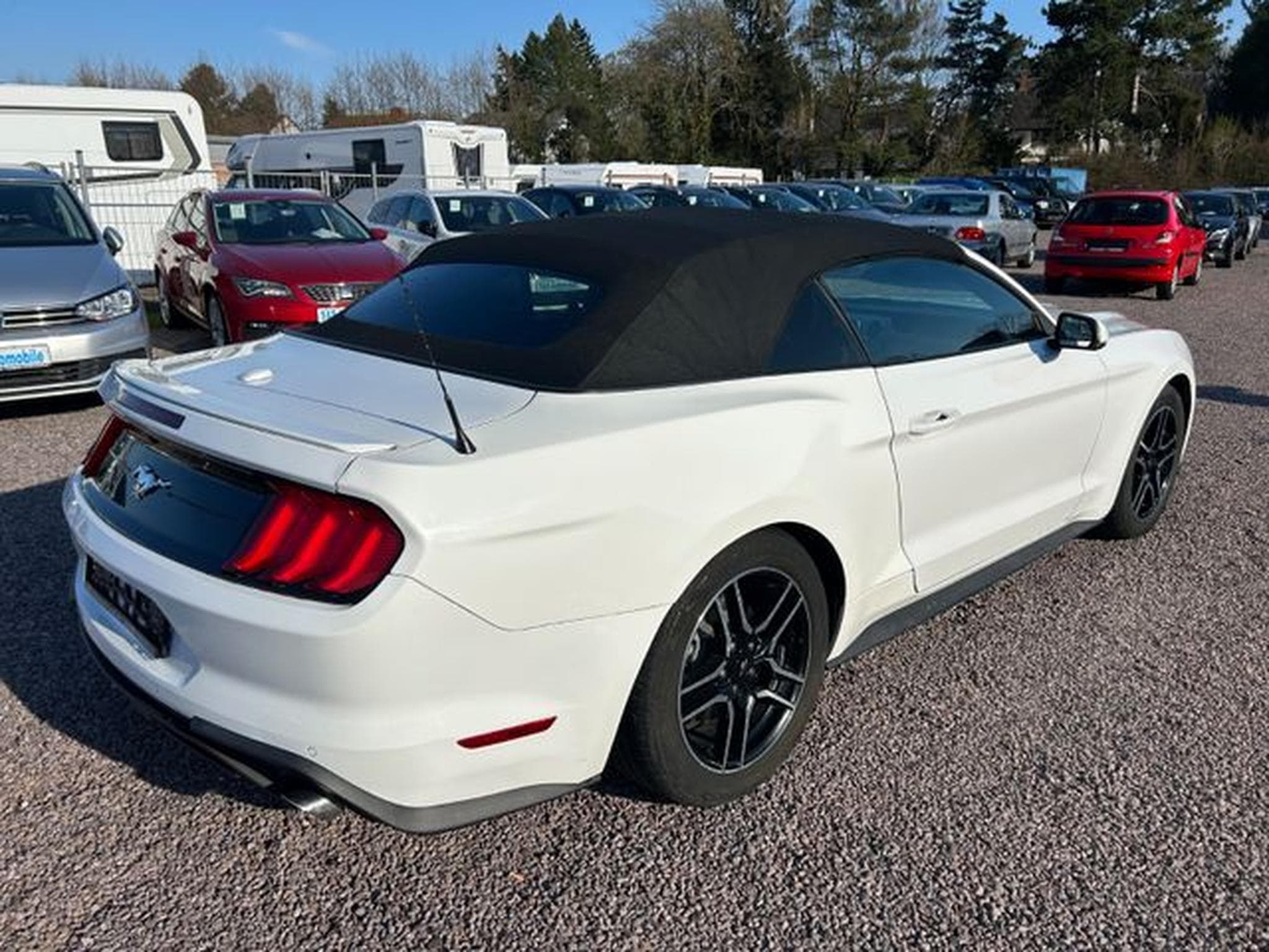 Ford Mustang Mustang Cabrio 2.3 *Autom.*Kamera*Euro6* (2020) - Photo 16