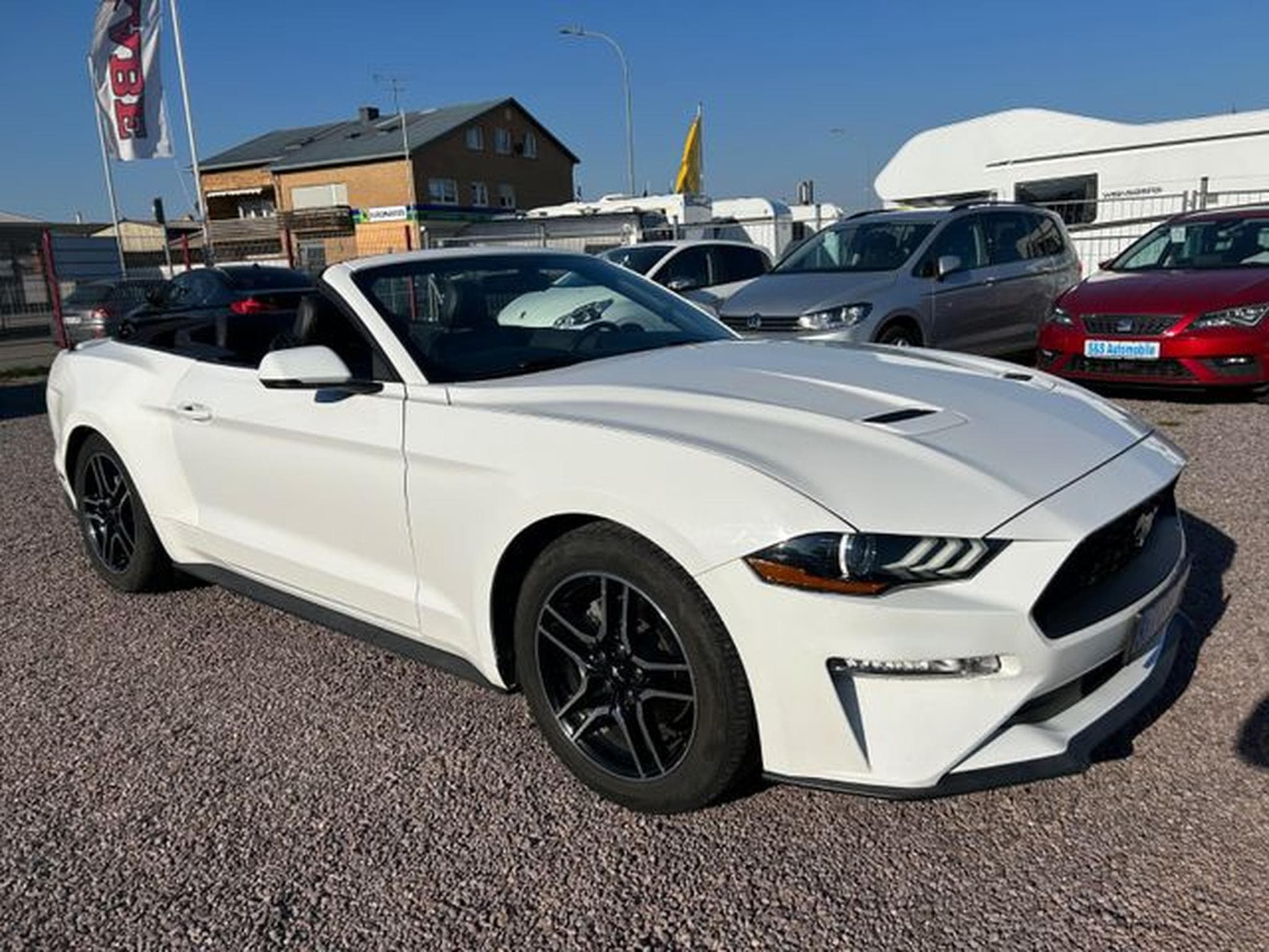 Ford Mustang Mustang Cabrio 2.3 *Autom.*Kamera*Euro6* (2020) - Photo 3