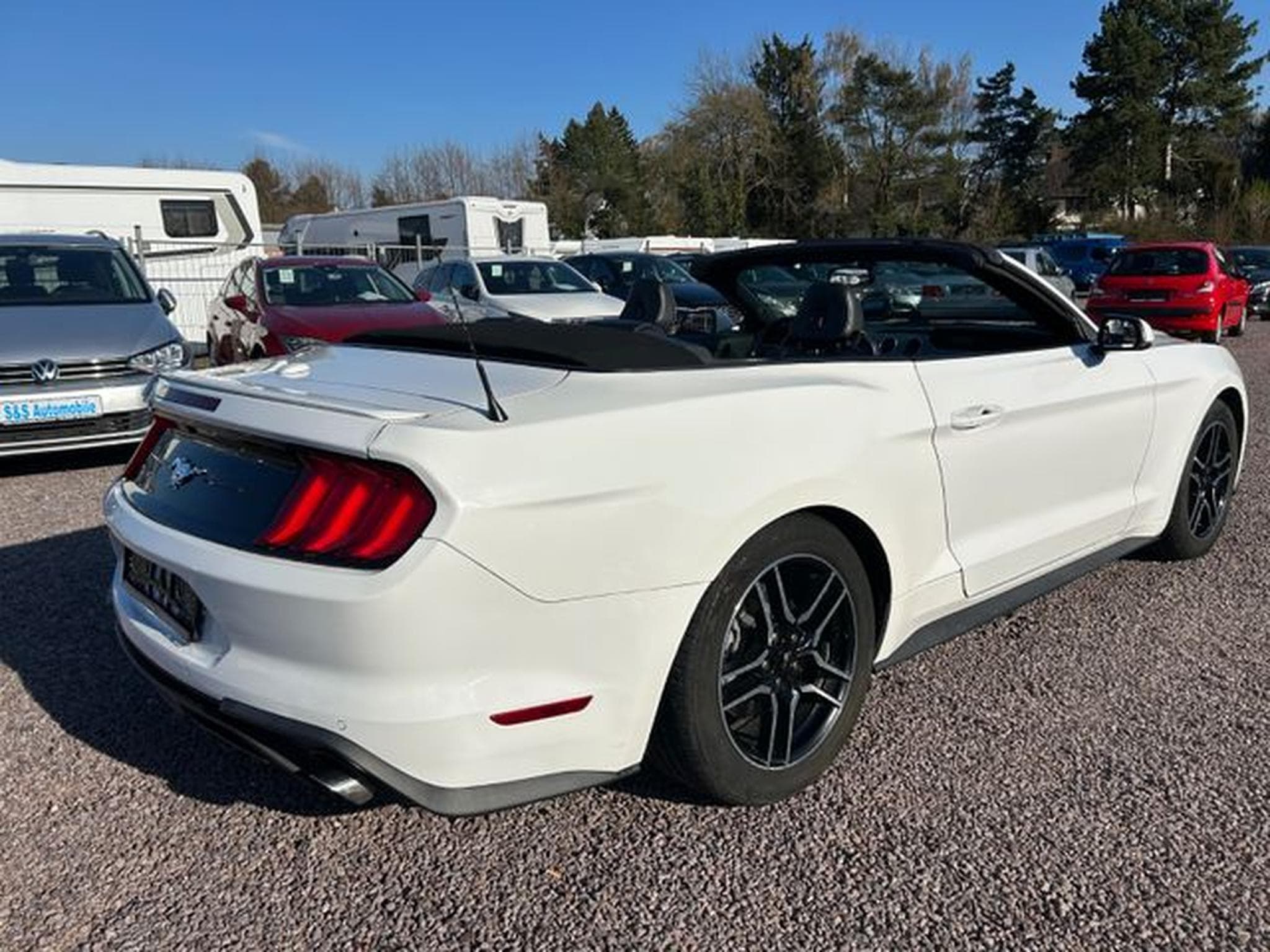 Ford Mustang Mustang Cabrio 2.3 *Autom.*Kamera*Euro6* (2020) - Photo 4