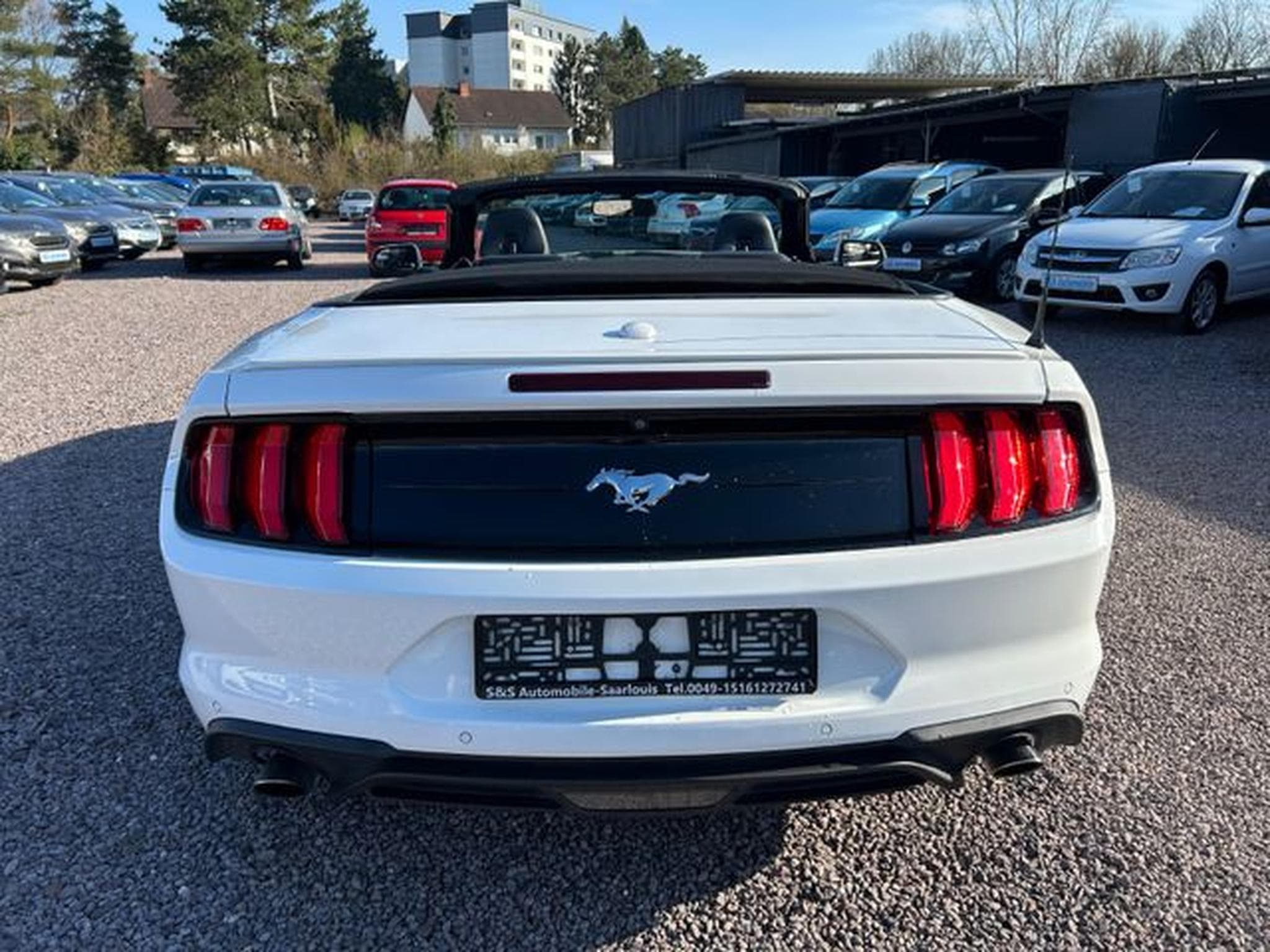Ford Mustang Mustang Cabrio 2.3 *Autom.*Kamera*Euro6* (2020) - Photo 5