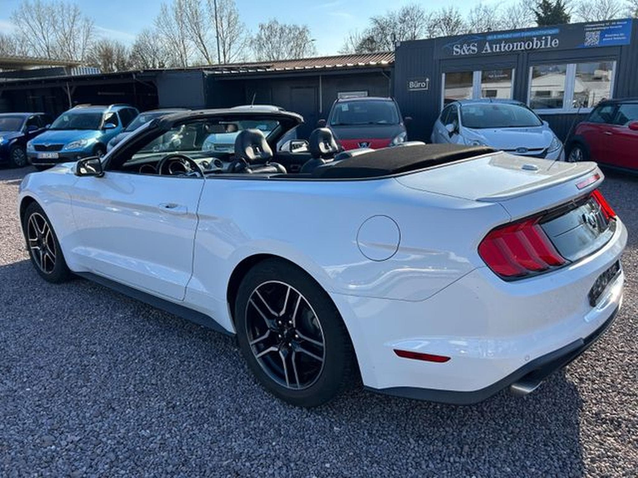 Ford Mustang Mustang Cabrio 2.3 *Autom.*Kamera*Euro6* (2020) - Photo 6
