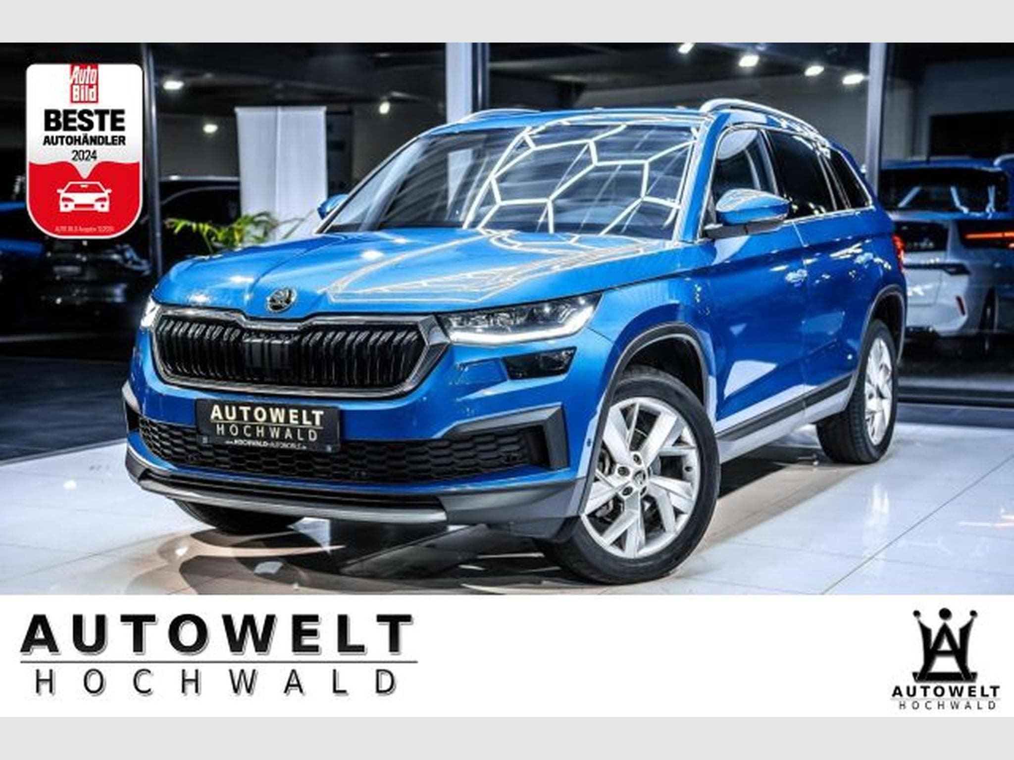 Skoda Kodiaq Kodiaq 2.0 TDI DSG NAVI LED RFK Digit. Lane+SIDE (2022) - Photo 1