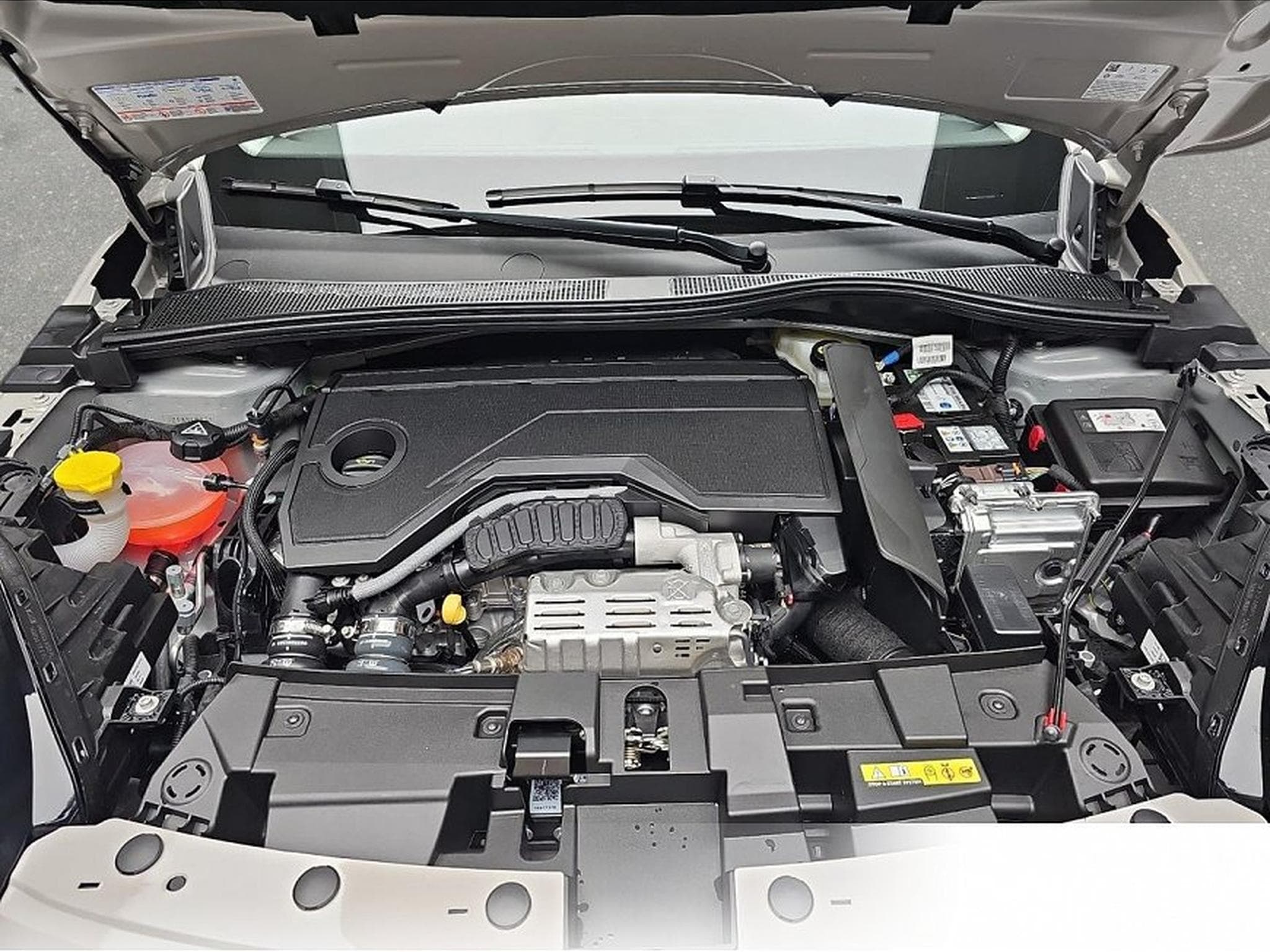 Fiat 600 (2026) - Photo 14