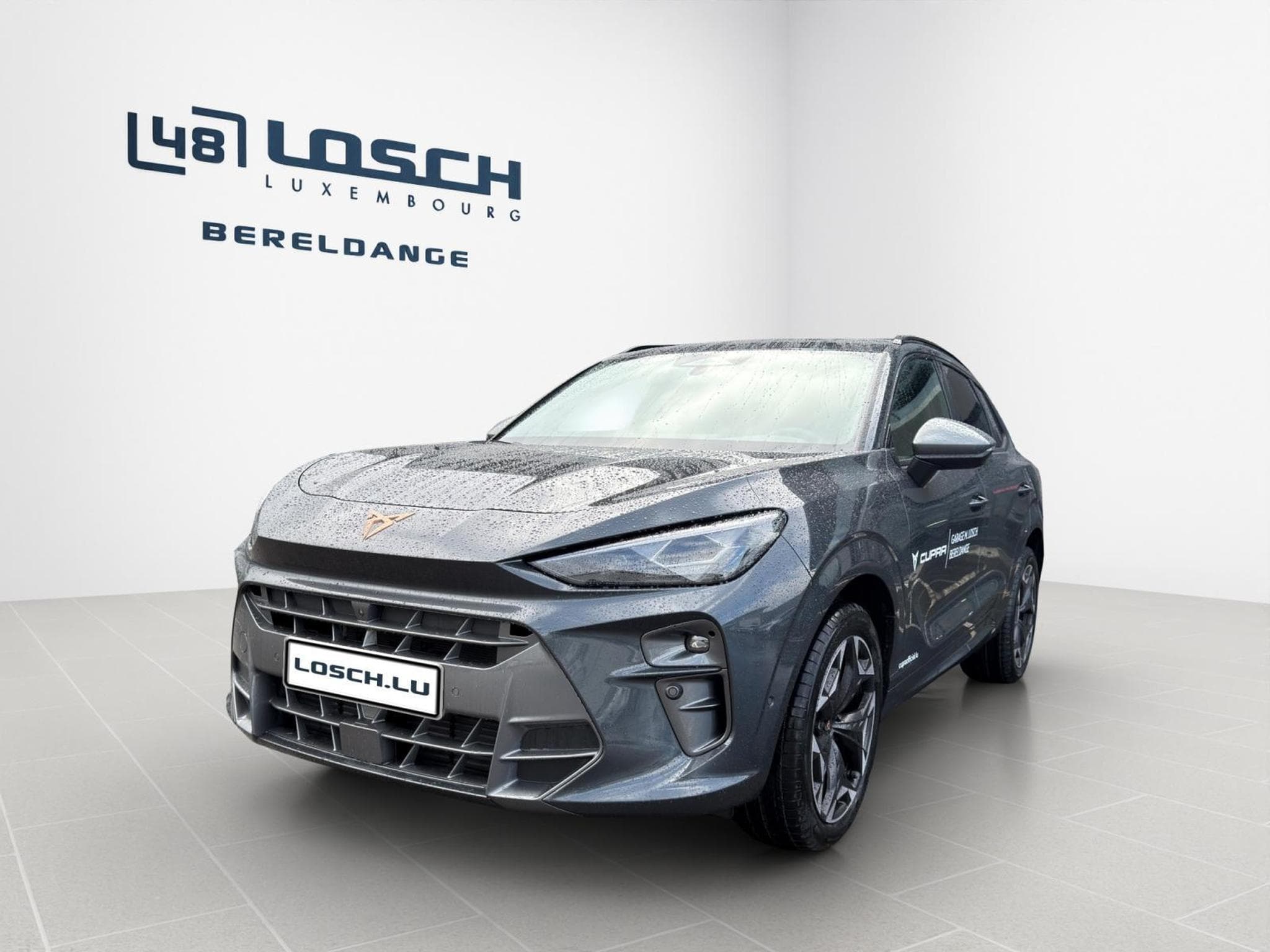 Cupra Terramar VZ (2026) - Photo 3