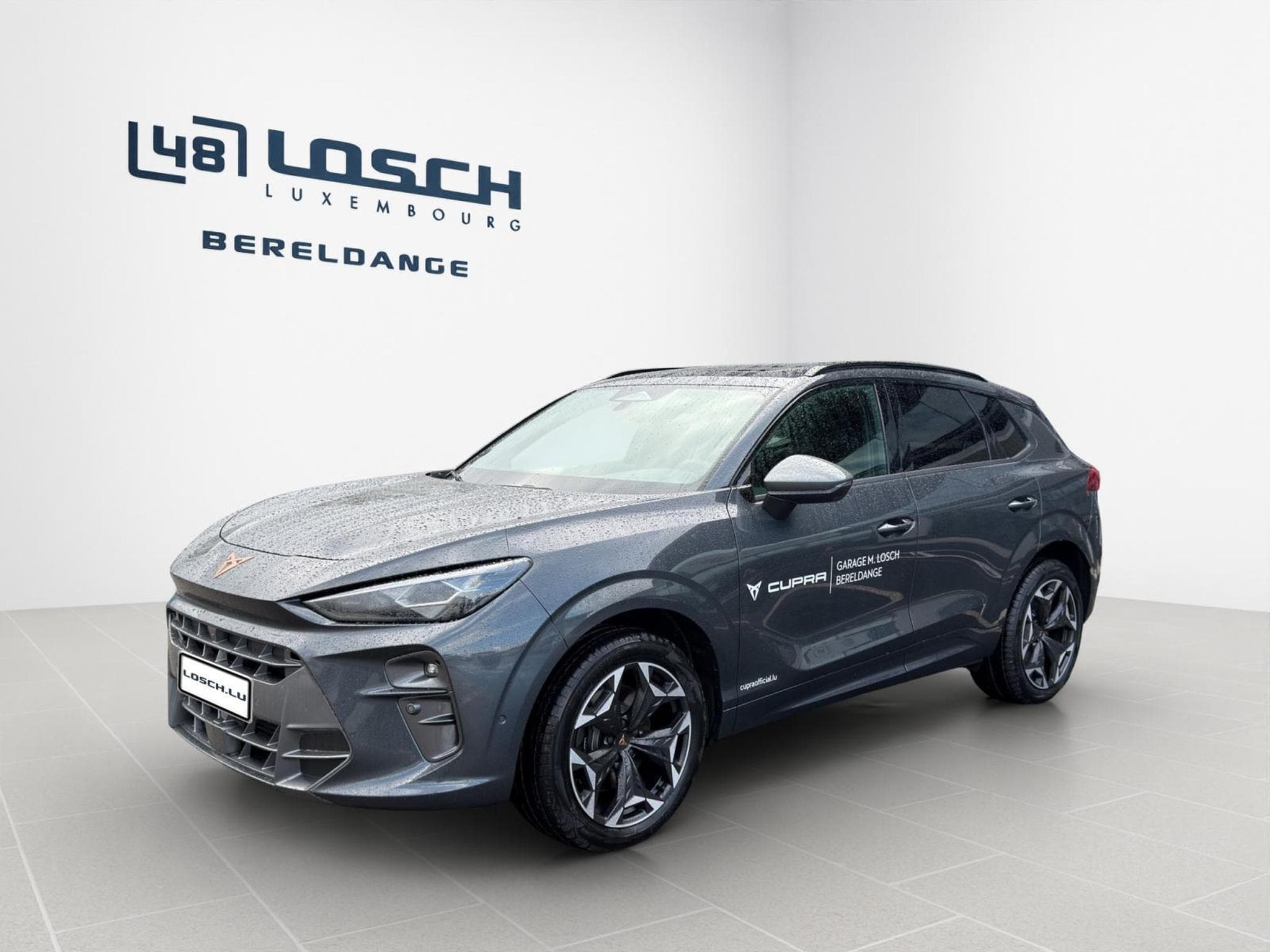 Cupra Terramar VZ (2026) - Photo 4