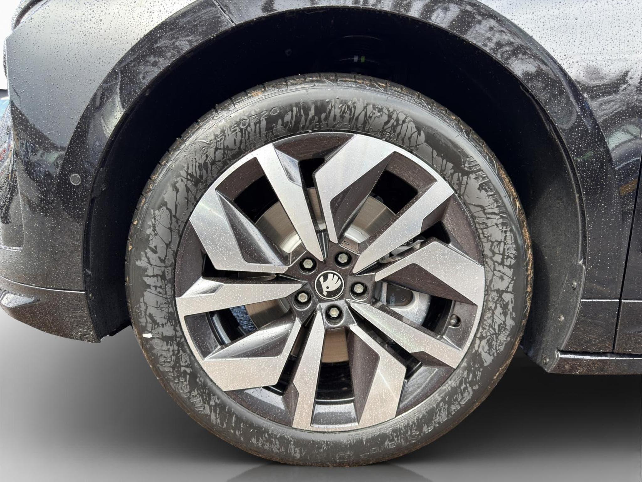 Skoda Enyaq Sportline (2026) - Foto 7