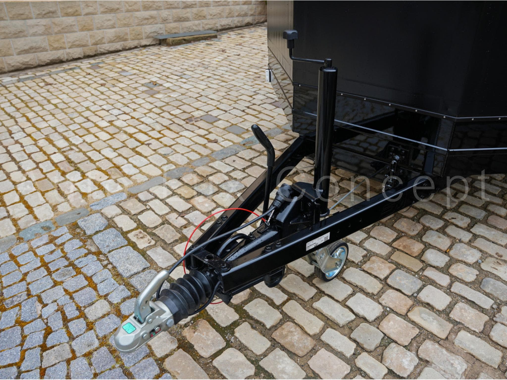 Moetefindt FTP 235 Porte-voiture 3,5 t (2025) - Photo 7