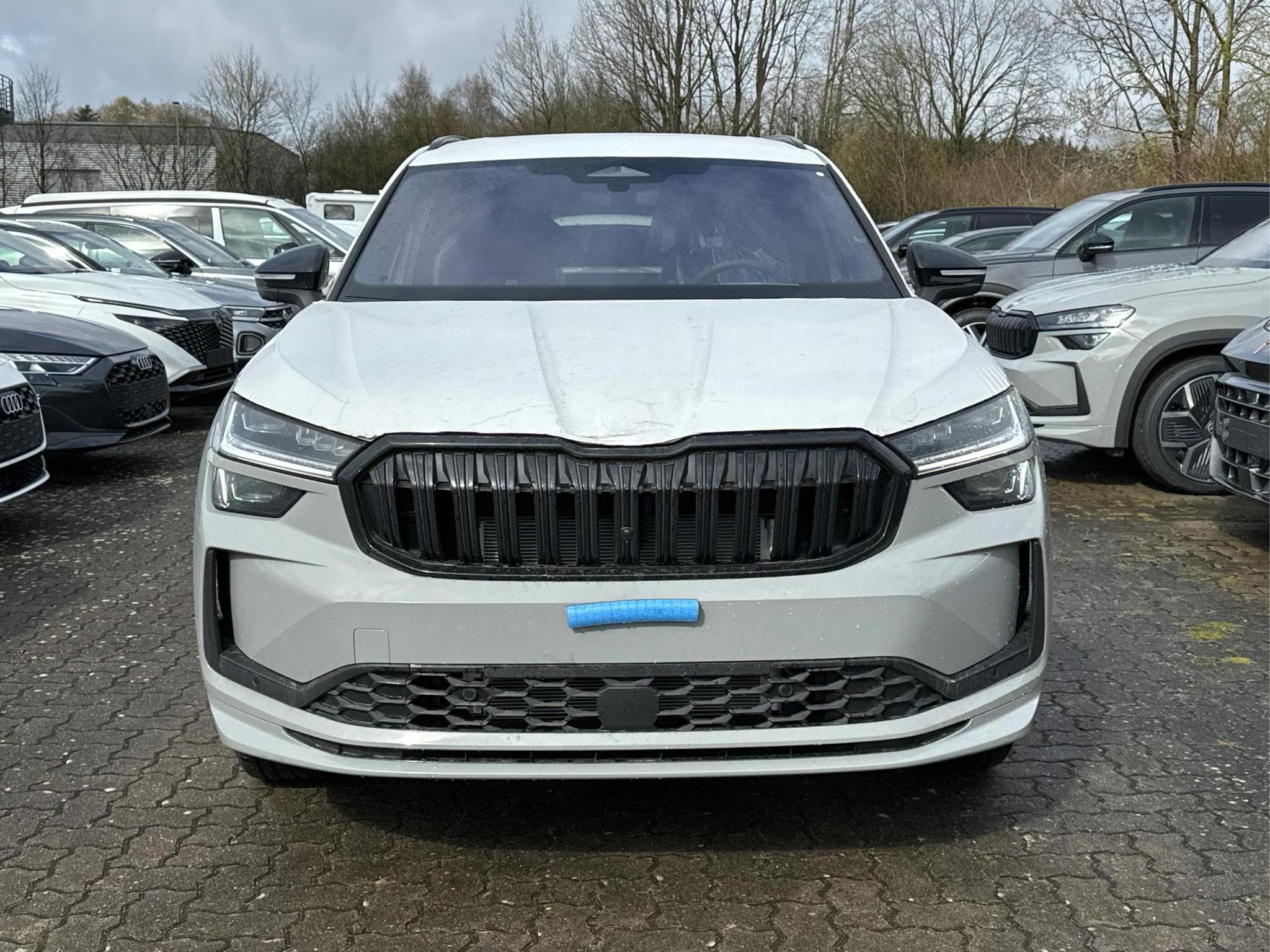 Skoda Kodiaq Sportline (2026) - Photo 2