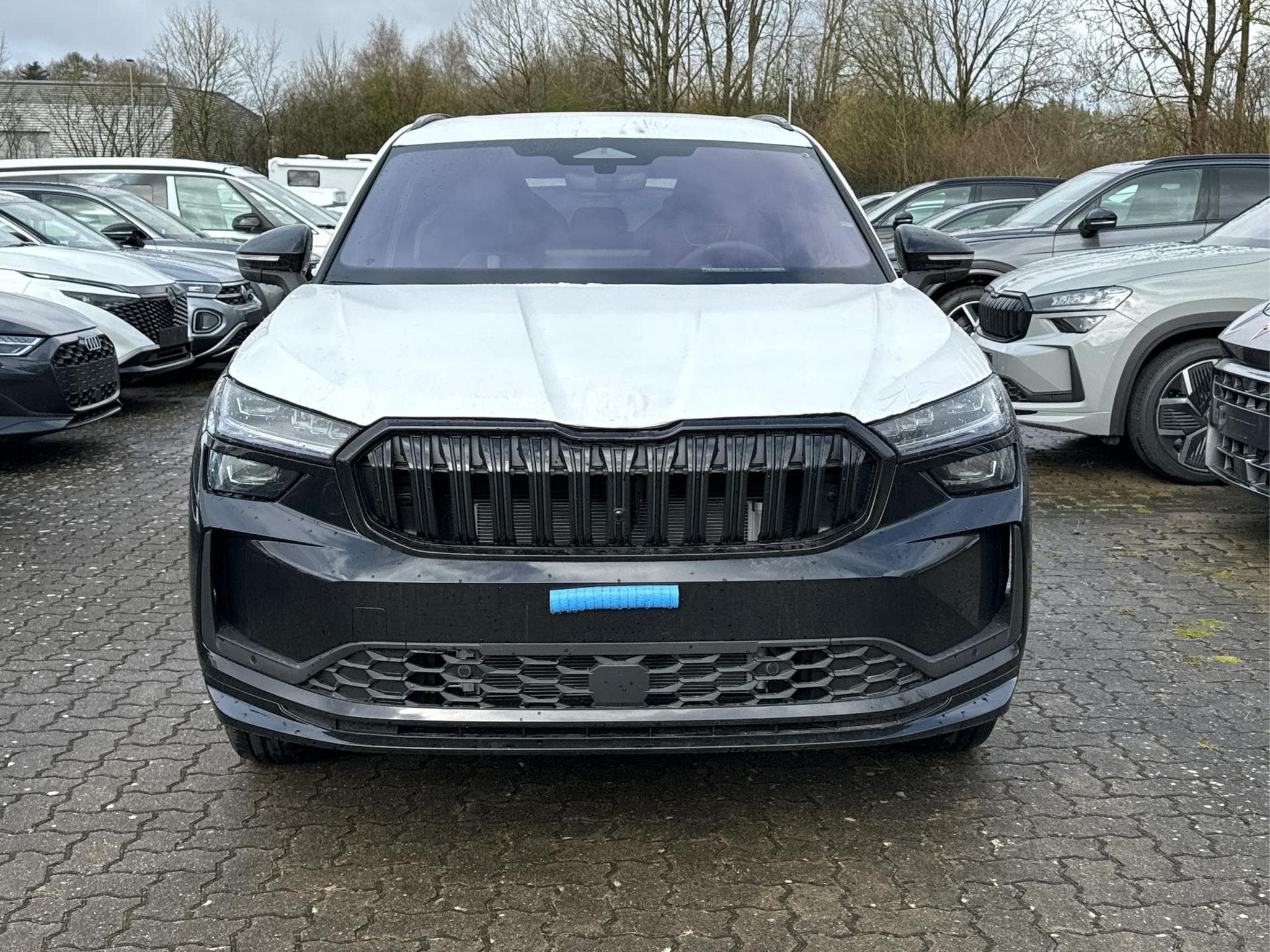 Skoda Kodiaq Sportline (2026) - Photo 2